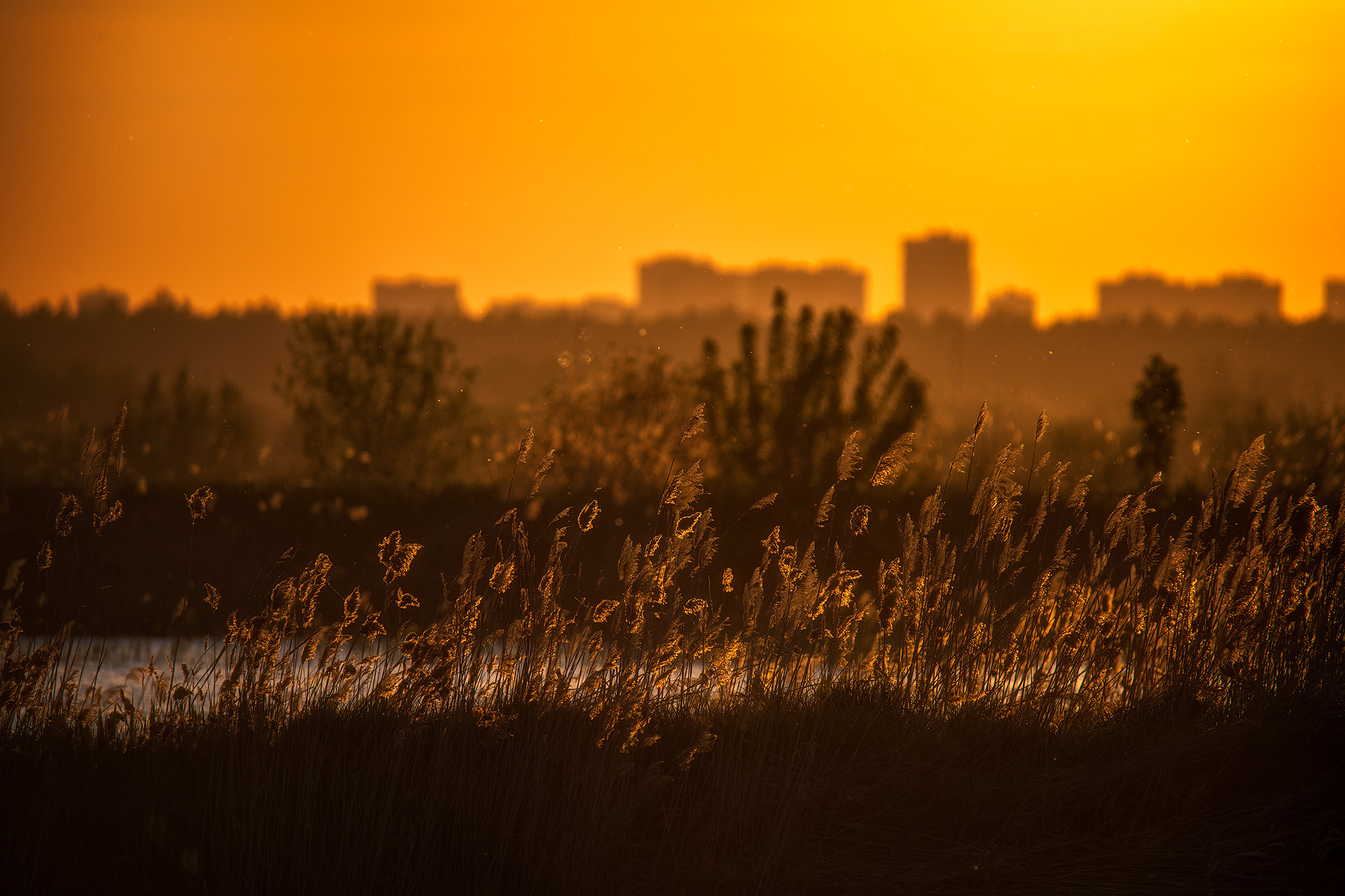 Sunset on the lake - My, Nature, Landscape, Sunset, Lake, Sunrises and sunsets, Evening, Permian, Perm Territory, Pond, The photo