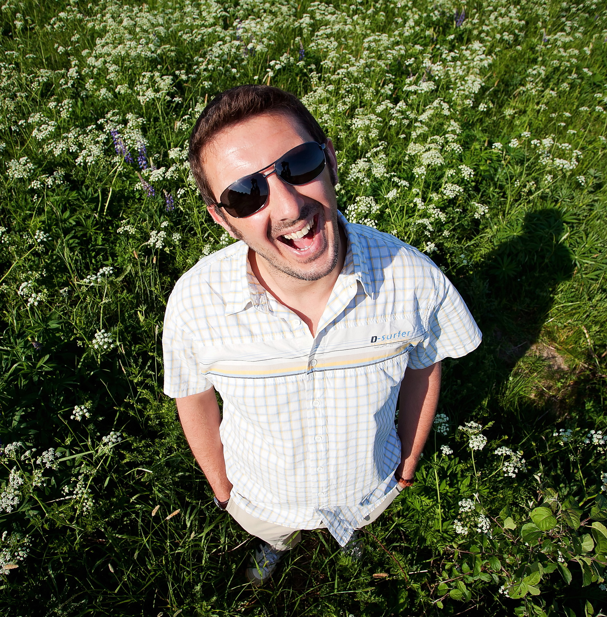 In the field... Archive, 2011 - My, Nature, The nature of Russia, Summer, 2011, Human, Kaliningrad region