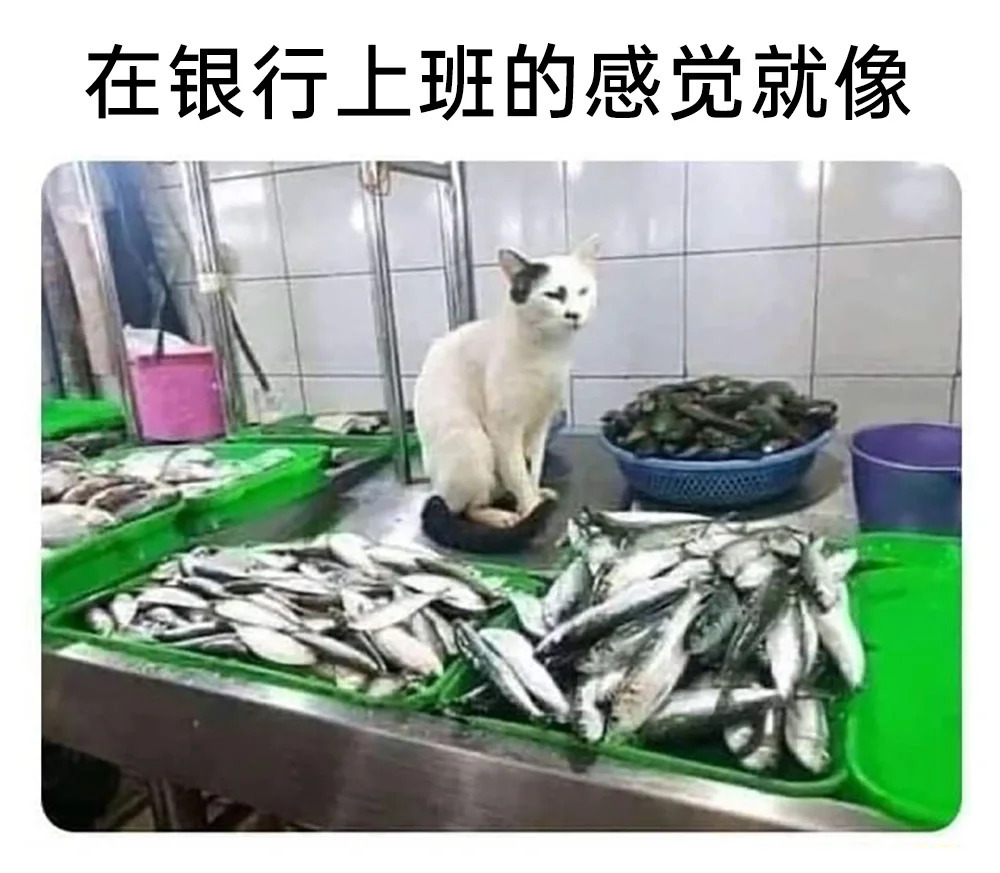 Chinese internet memes - My, China, Humor, Memes, Asia, Longpost