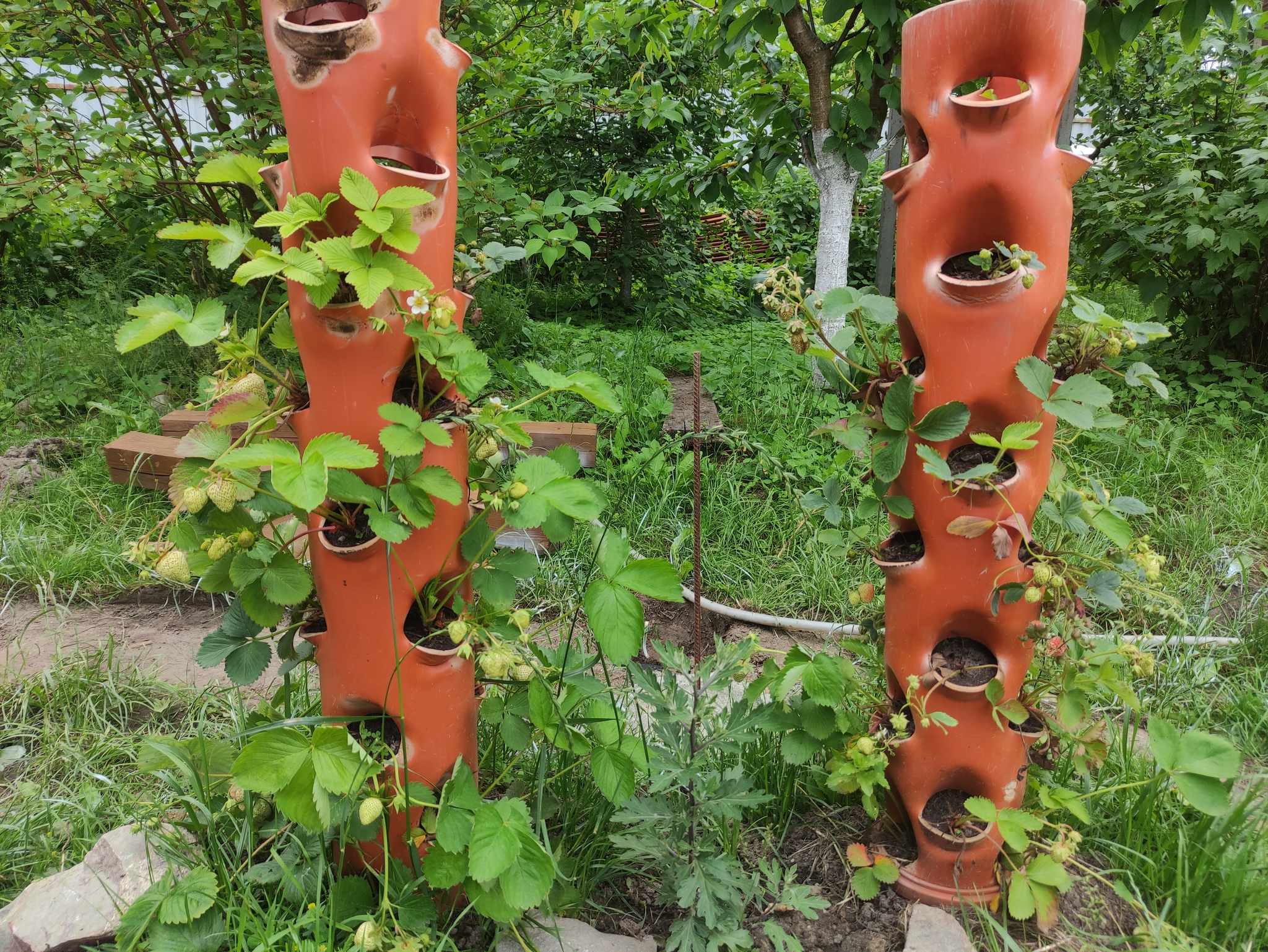 Vertical beds. From my own experience - My, Garden, Vegetable garden on the windowsill, Garden beds, Building, Land plot, Beautification, Homemade, With your own hands, Longpost