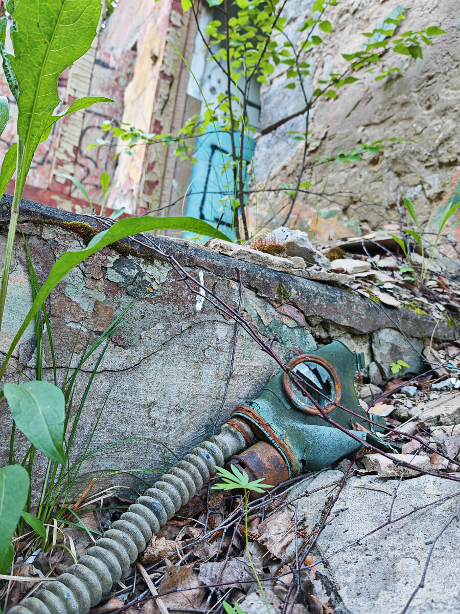 Searching in a strange place I discovered in the forest. I didn’t take anything from there just in case - My, Find, Abandoned, Search, Longpost