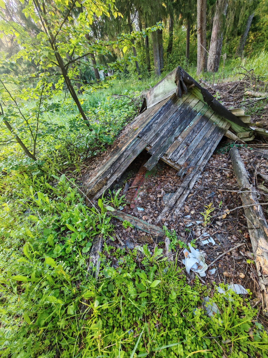 Searching in a strange place I discovered in the forest. I didn’t take anything from there just in case - My, Find, Abandoned, Search, Longpost