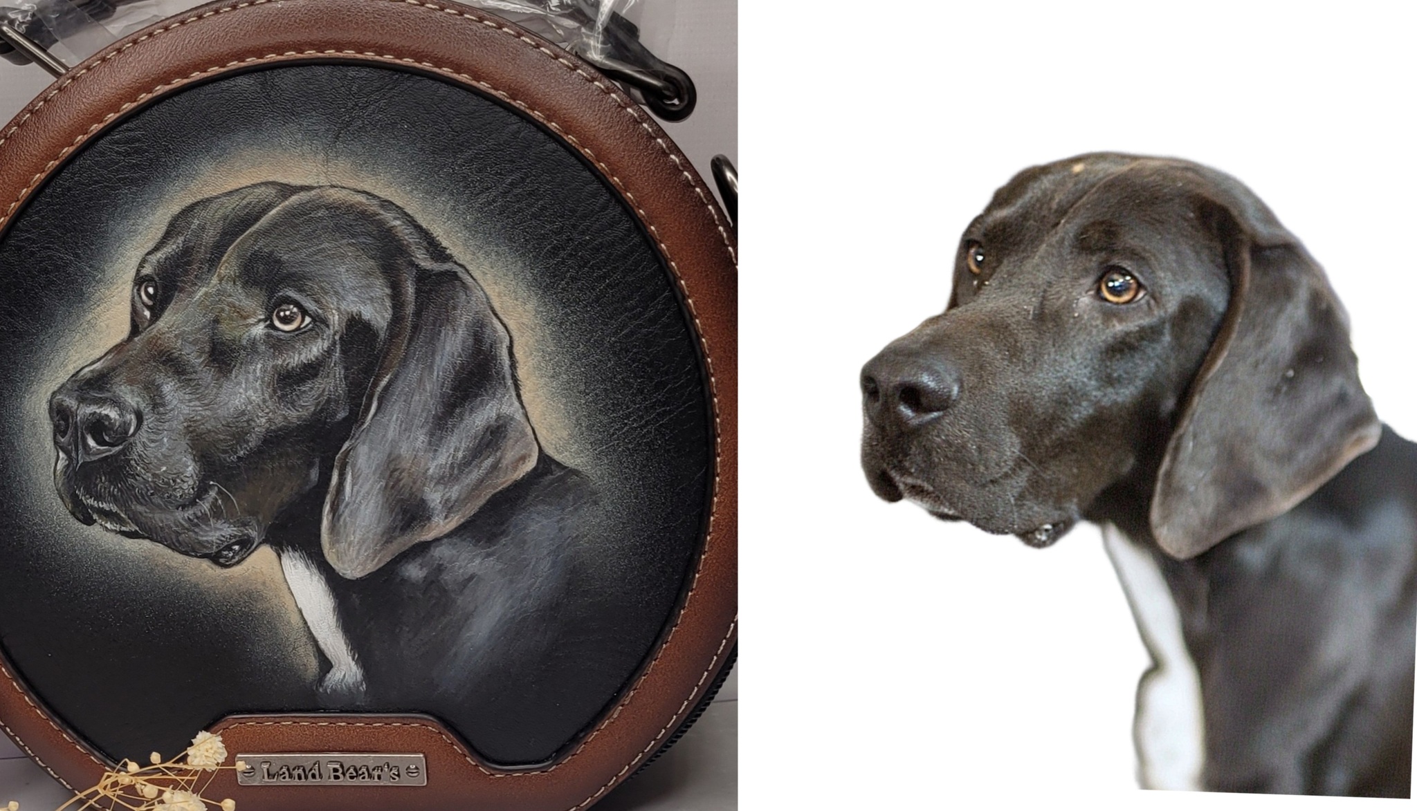 Handbag with a dog - My, Weimaraner, Сумка, Dog