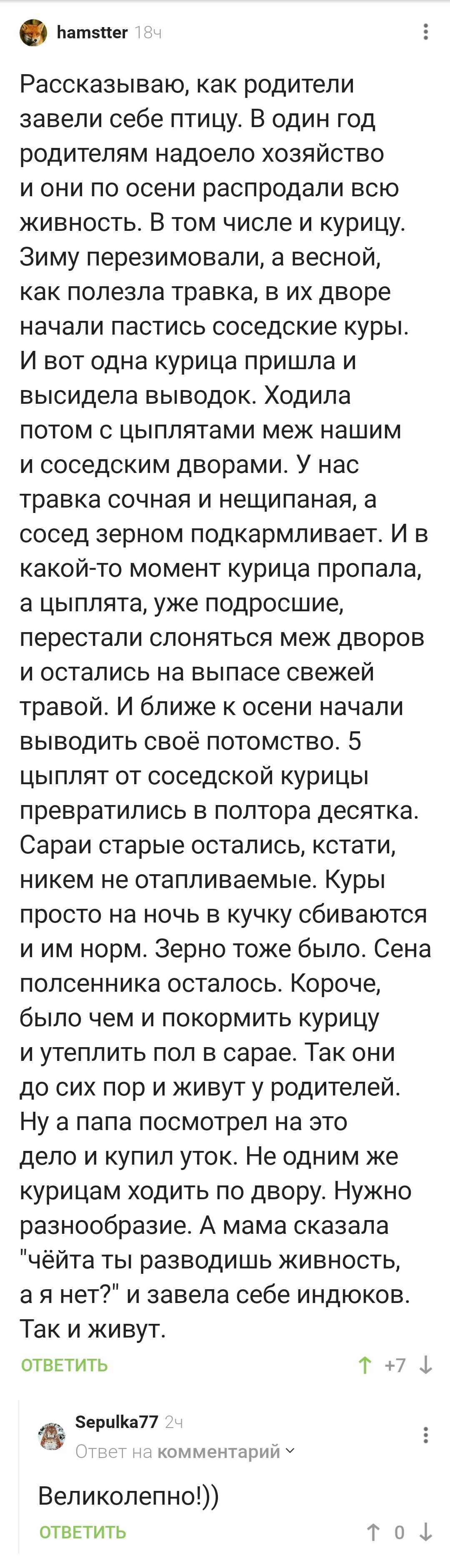 How to suddenly become a poultry farmer?) - Hen, Dacha, Comments on Peekaboo, Longpost, Screenshot