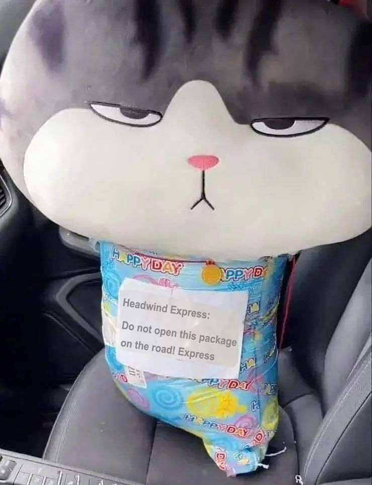 “Do not open the package on the road” - cat, Unusual, Toys, Soft toy, Longpost