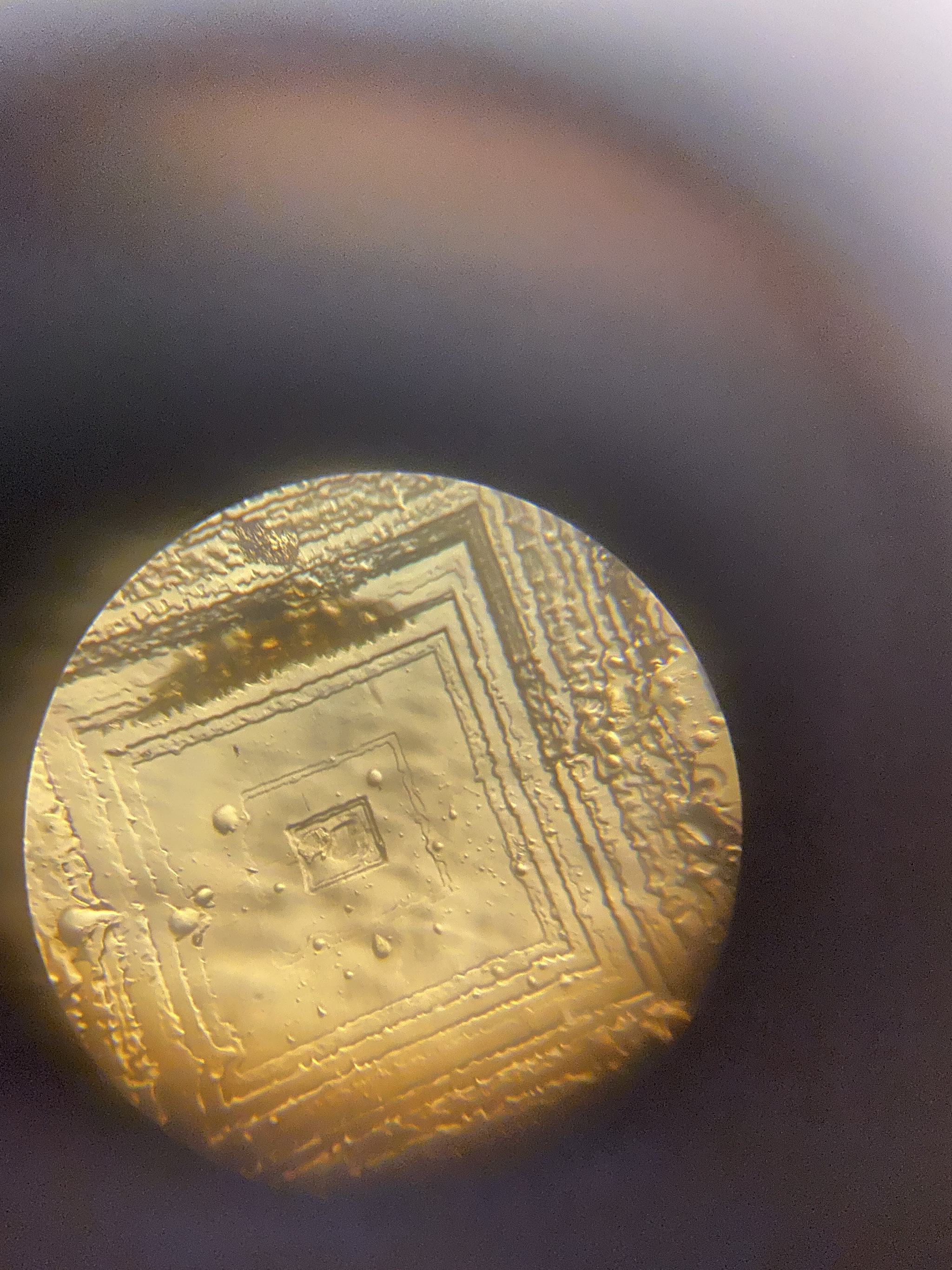 Soy sauce - My, Crystals, Soy sauce, Microscope, Longpost