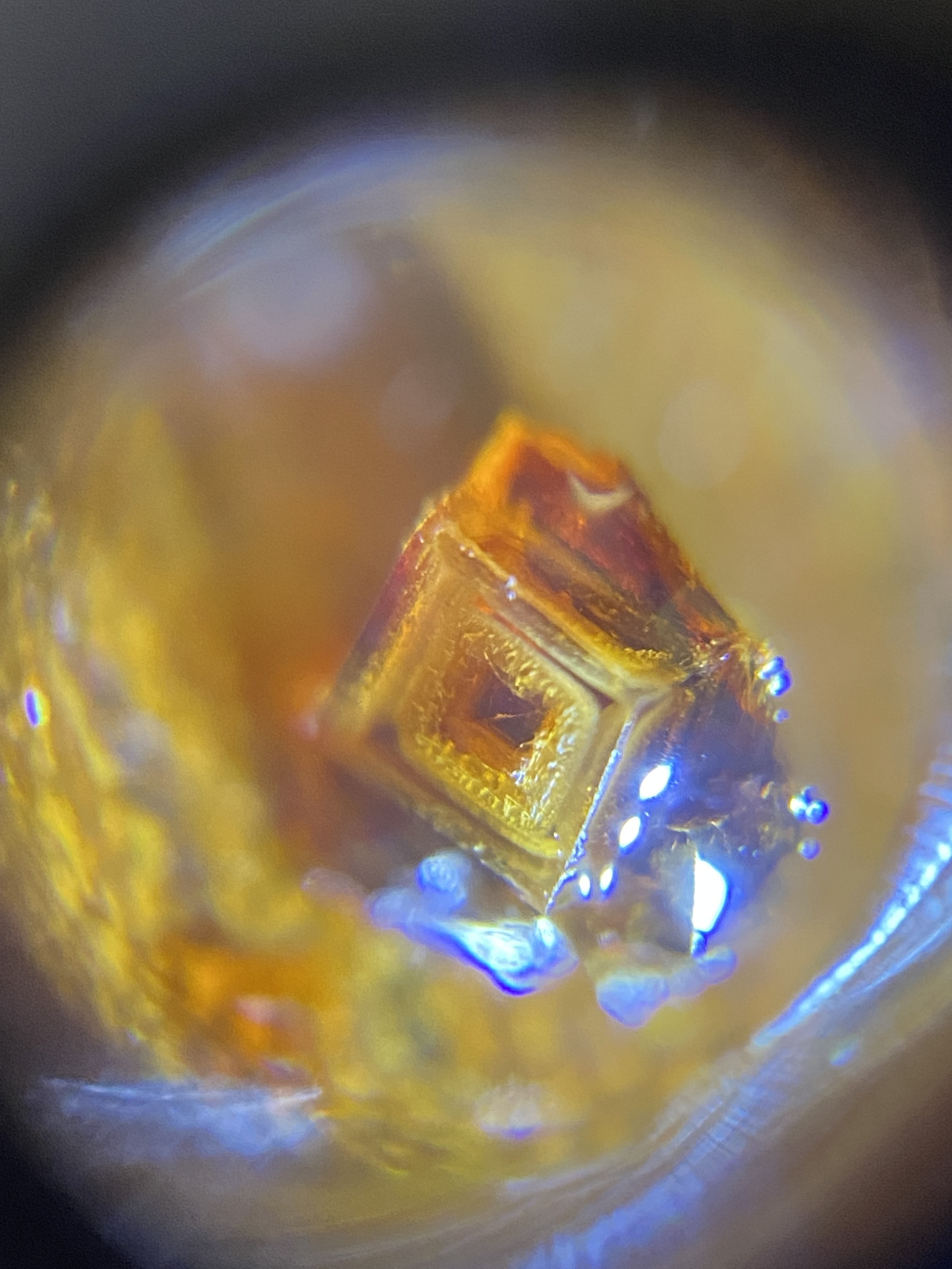 Soy sauce - My, Crystals, Soy sauce, Microscope, Longpost