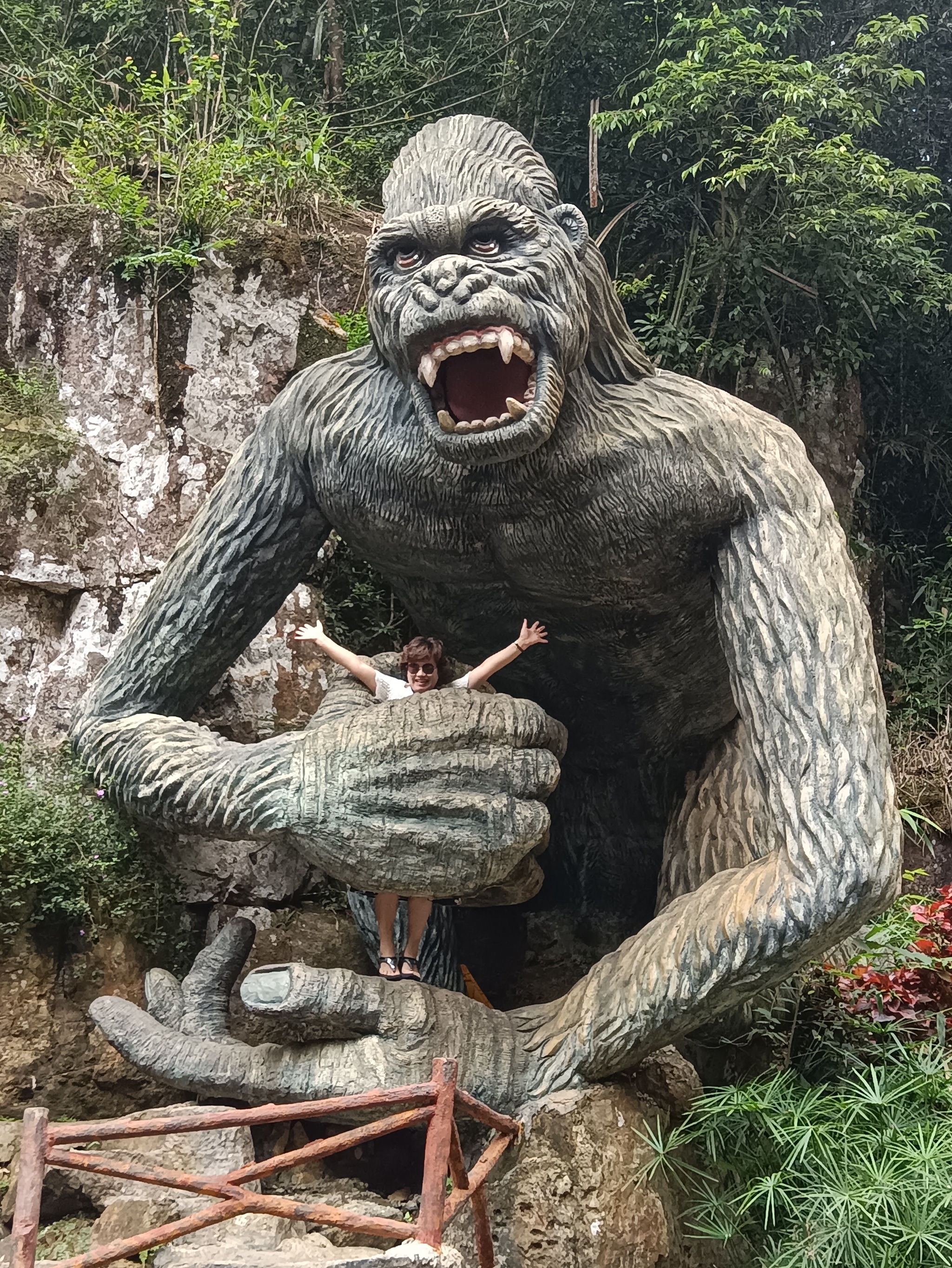 Is Kong alive? Dalat. Vietnam - My, Vietnam, Dalat, Tourism, Text