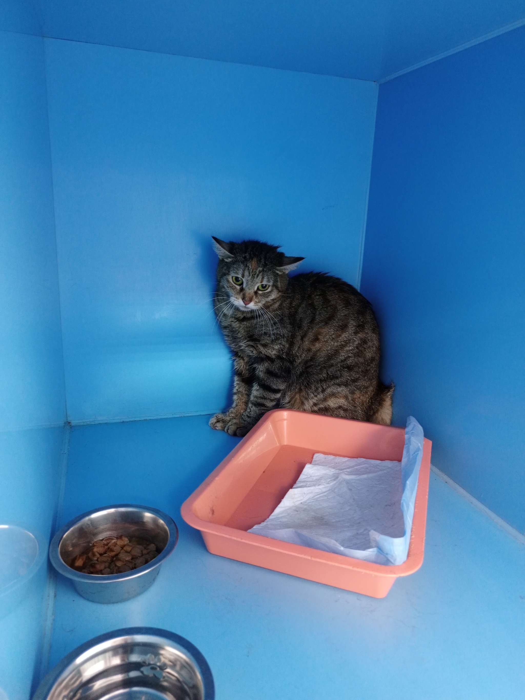 Илона. Завтра улица | Пикабу