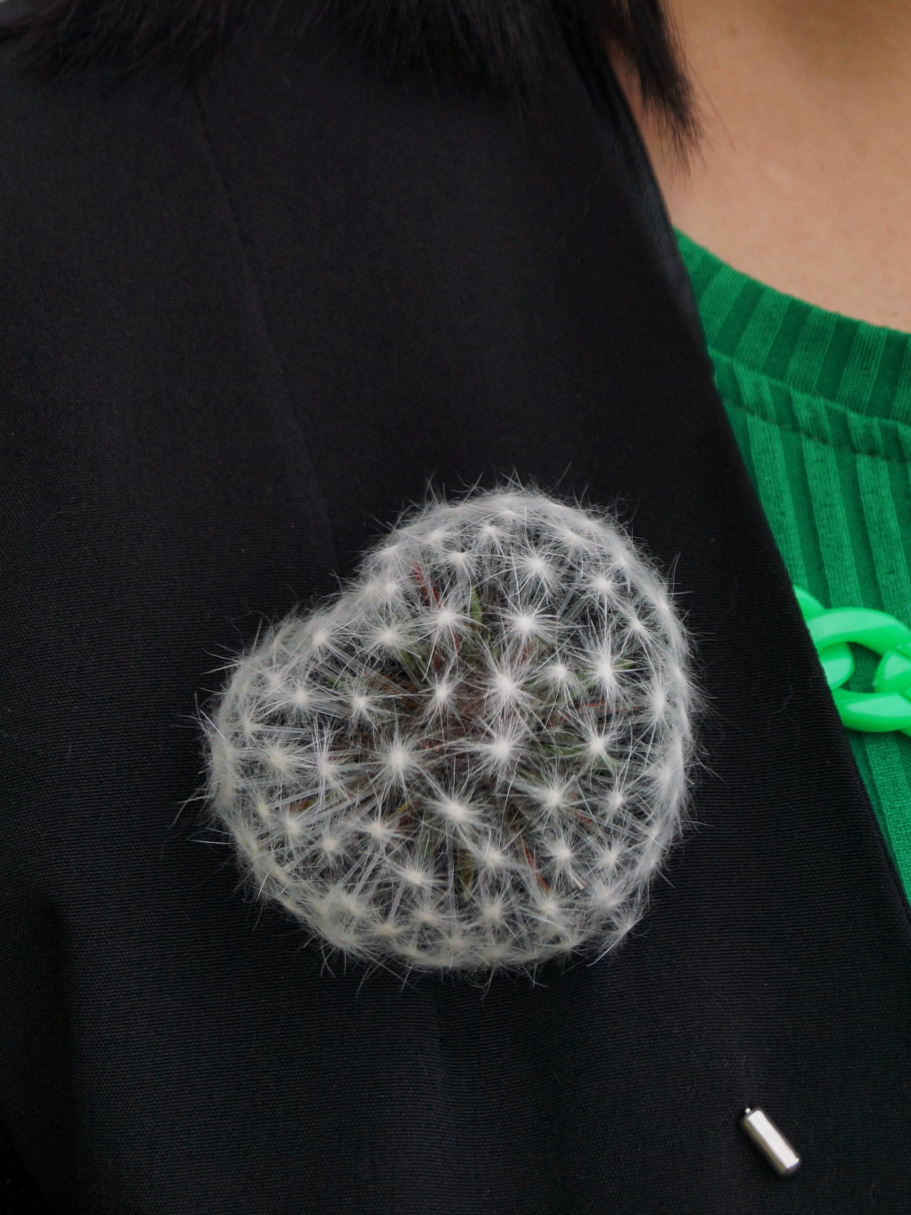 Dandelion in the shape of a heart - My, Vertical video, Needlework without process, Presents, Handmade, Brooch, Hobby, Girls, Flowers, Summer, Heart, Decoration, Crafts, Russia, Video, Longpost