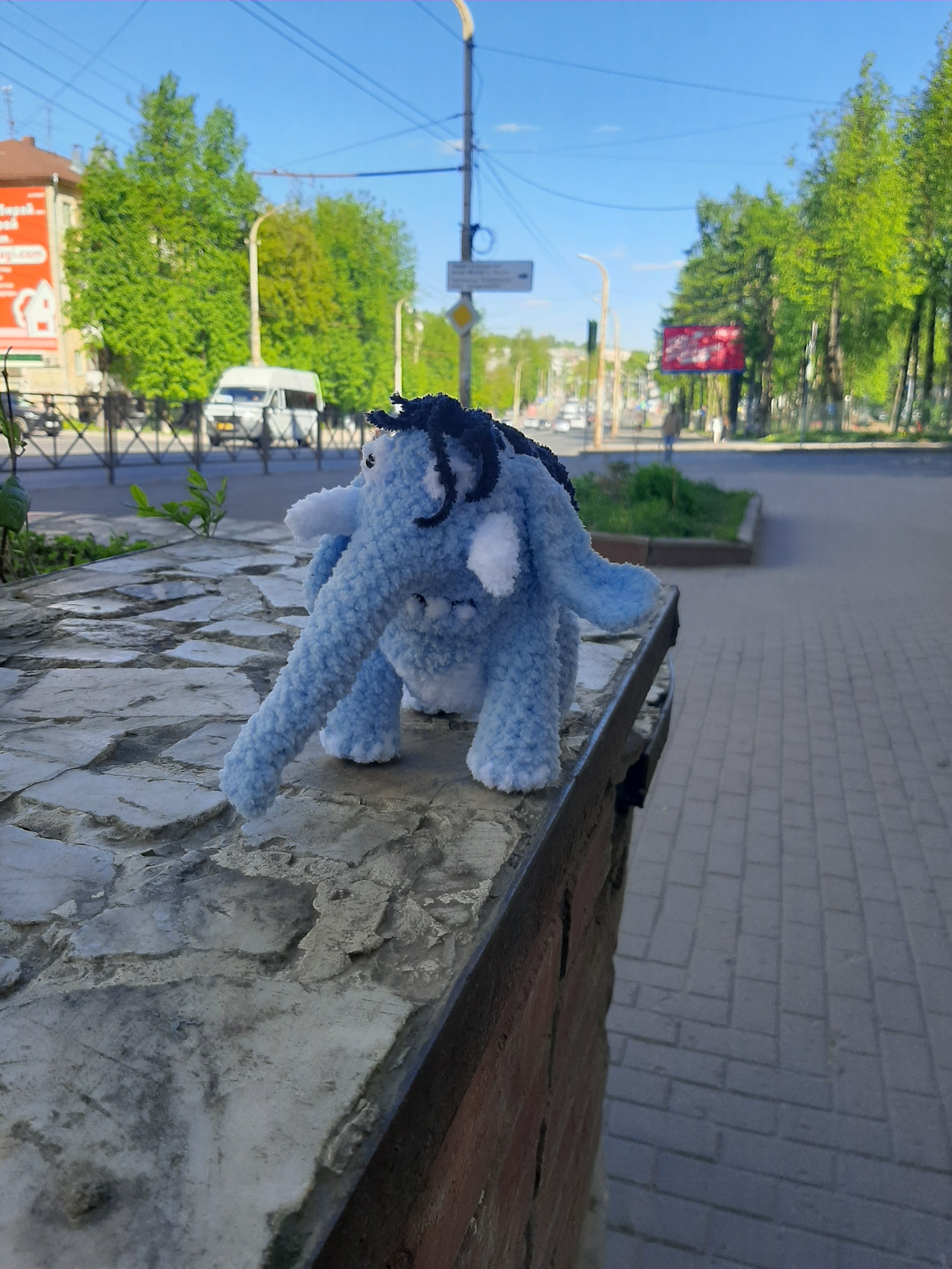 Слон полосатый | Пикабу