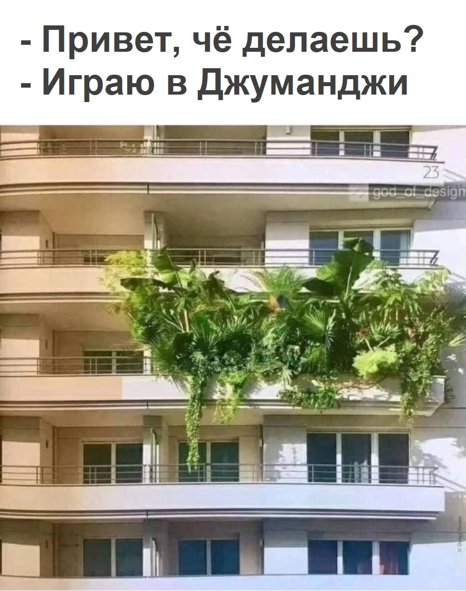 Come in - Picture with text, Humor, Images, Telegram (link), Memes, Jumanji, Balcony, Plants