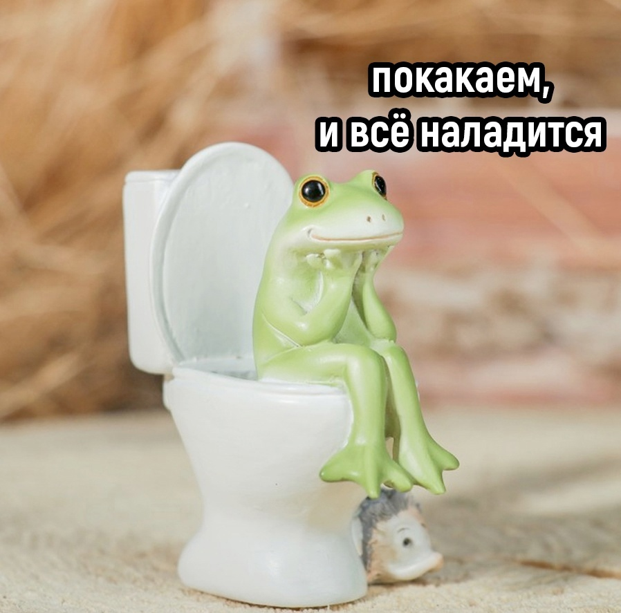 I only have two ways to solve problems - Humor, Memes, Picture with text, Problem, Defecation, Preparation, A sandwich, Motivation, Motivator, Frogs, Hamster, Tea, Tea drinking