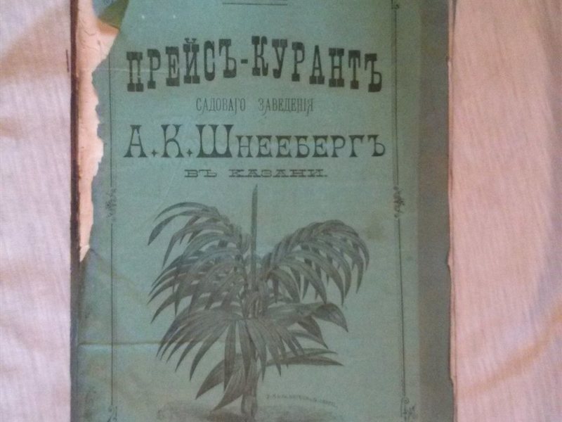 Торговое садовое заведение Альберта Карловича Шнееберга, г. Казань [1858 – 1910] Часть 1 - Моё, Краеведение, История города, Российская империя, СССР, Казань, Татарстан, Города России, История России, Путешествие по России, Длиннопост