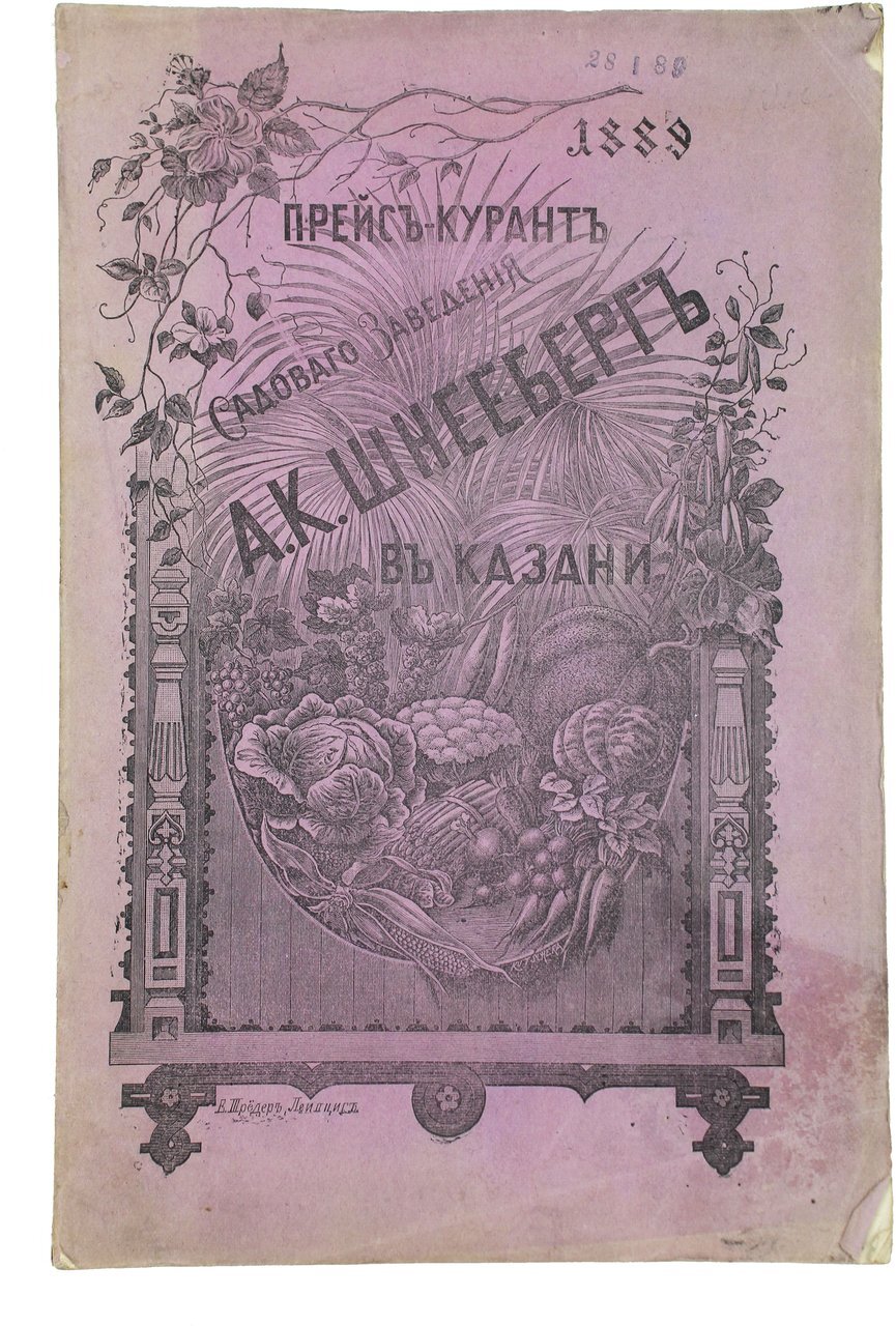 Торговое садовое заведение Альберта Карловича Шнееберга, г. Казань [1858 – 1910] Часть 1 - Моё, Краеведение, История города, Российская империя, СССР, Казань, Татарстан, Города России, История России, Путешествие по России, Длиннопост