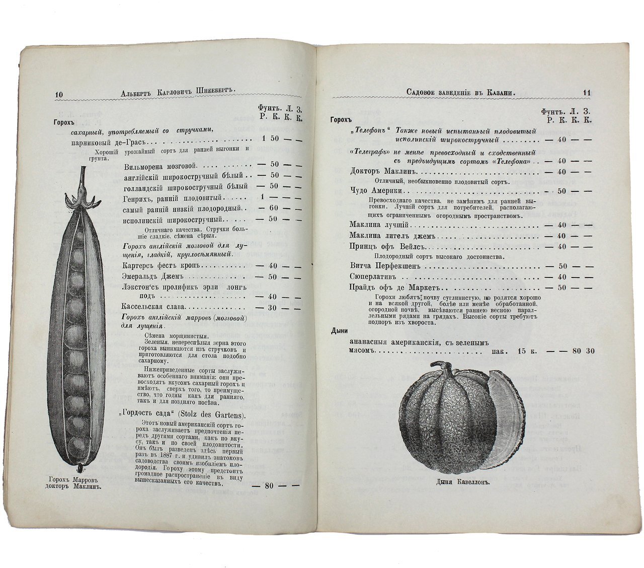 Торговое садовое заведение Альберта Карловича Шнееберга, г. Казань [1858 – 1910] Часть 1 - Моё, Краеведение, История города, Российская империя, СССР, Казань, Татарстан, Города России, История России, Путешествие по России, Длиннопост