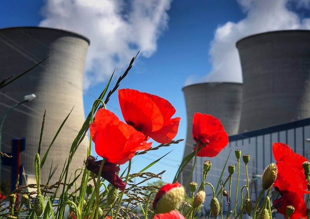 Summer is a small life... and big cooling towers! - Bloom, Flowers, Building, Cooling tower, Longpost
