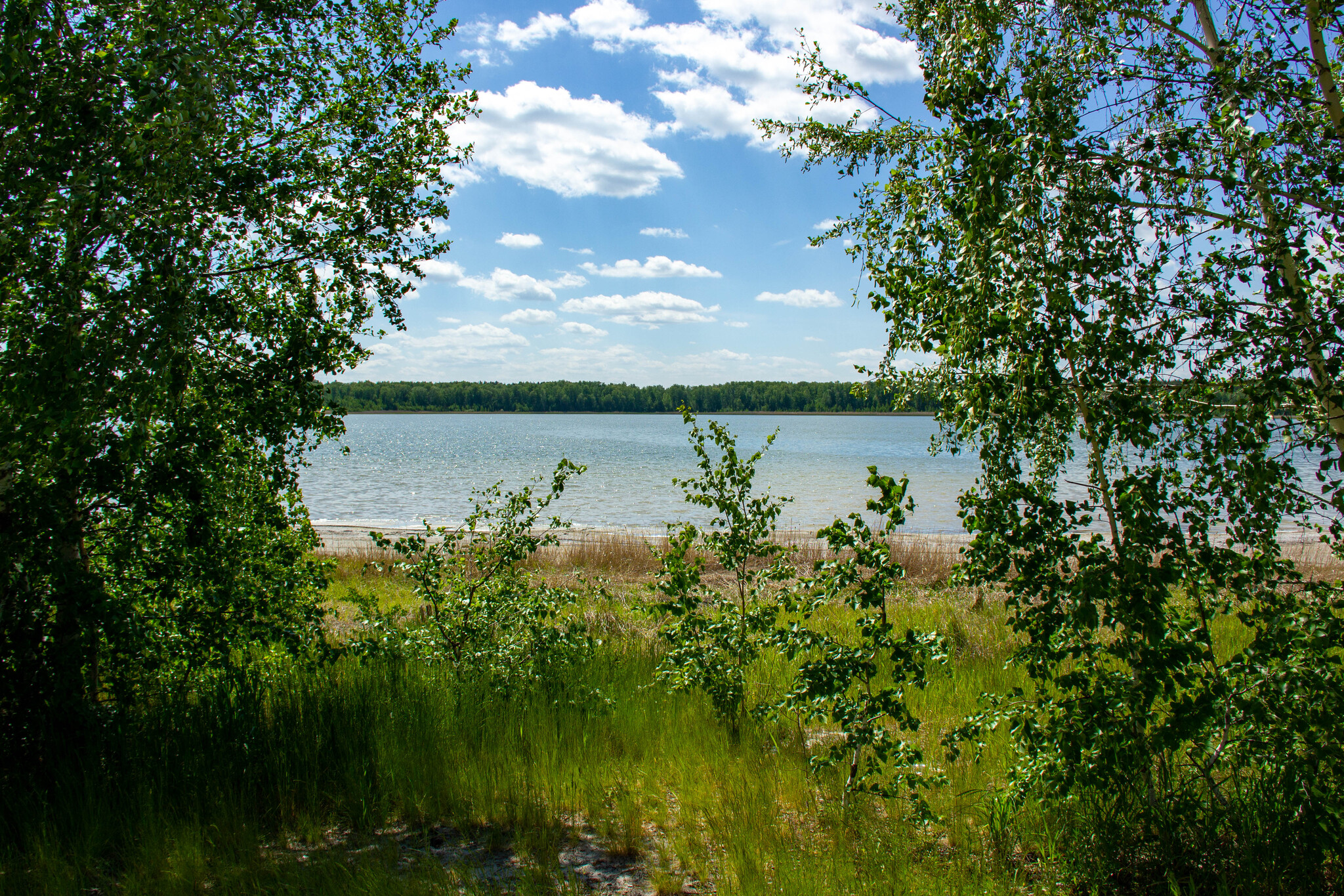 Лесное озеро - Моё, Велопрогулка, Природа, Фотография, Лес, Озеро, Отдых на природе, Активный отдых, Длиннопост