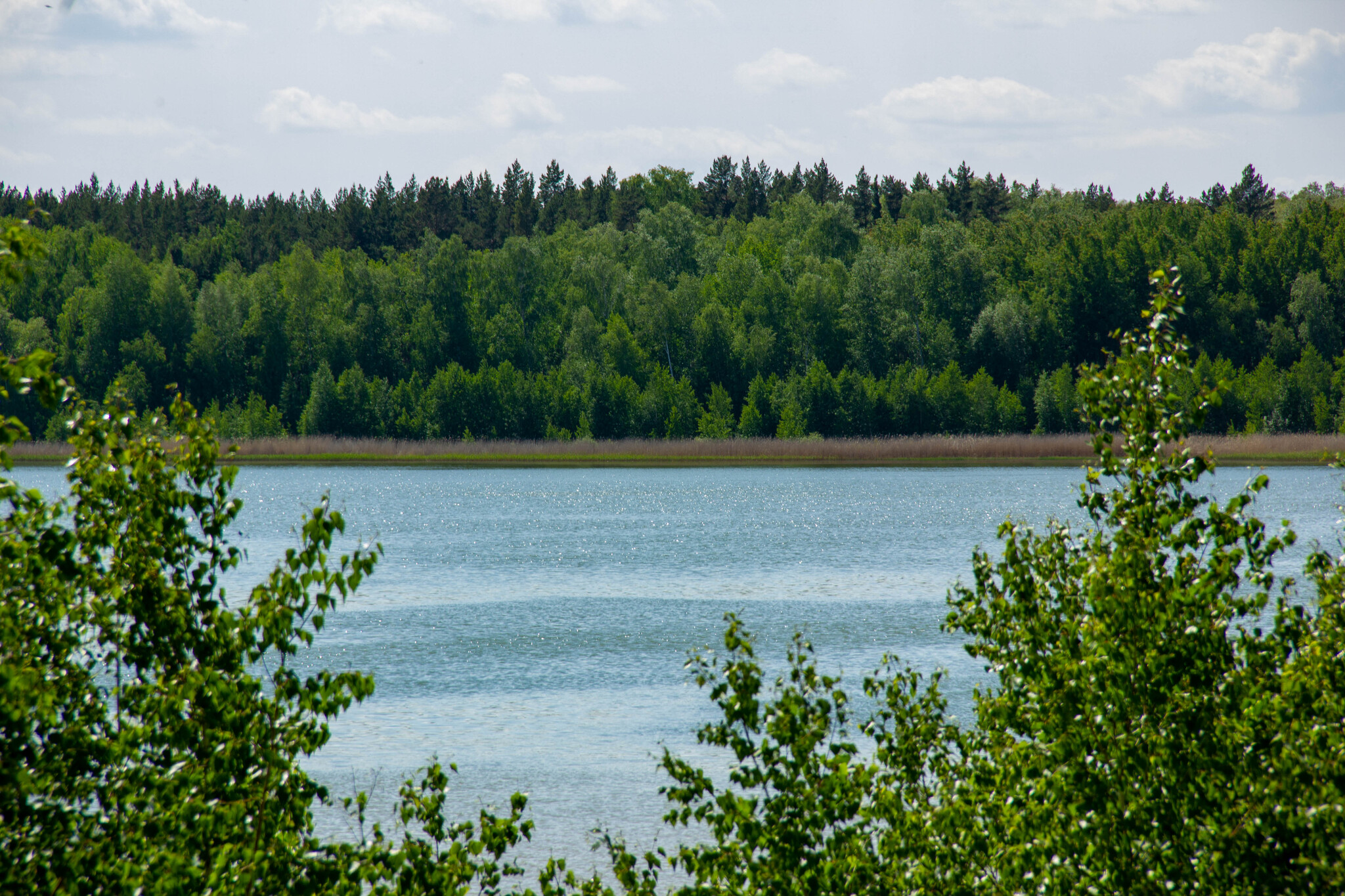 Лесное озеро - Моё, Велопрогулка, Природа, Фотография, Лес, Озеро, Отдых на природе, Активный отдых, Длиннопост