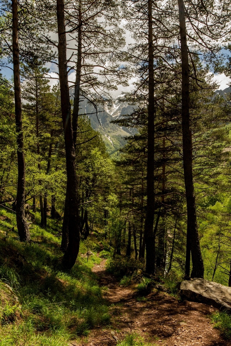 One day in Digoria. Taymazi (Three Sisters) Waterfall, Mount Qubus - My, Caucasus, North Ossetia Alania, Caucasus mountains, The mountains, The rocks, Forest, Flowers, Waterfall, The photo, Panoramic shooting, Spherical panorama, Beautiful view, Canon 600D, Samyang 14mm, 70-300mm, Landscape, Longpost