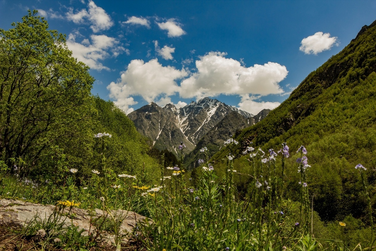 One day in Digoria. Taymazi (Three Sisters) Waterfall, Mount Qubus - My, Caucasus, North Ossetia Alania, Caucasus mountains, The mountains, The rocks, Forest, Flowers, Waterfall, The photo, Panoramic shooting, Spherical panorama, Beautiful view, Canon 600D, Samyang 14mm, 70-300mm, Landscape, Longpost