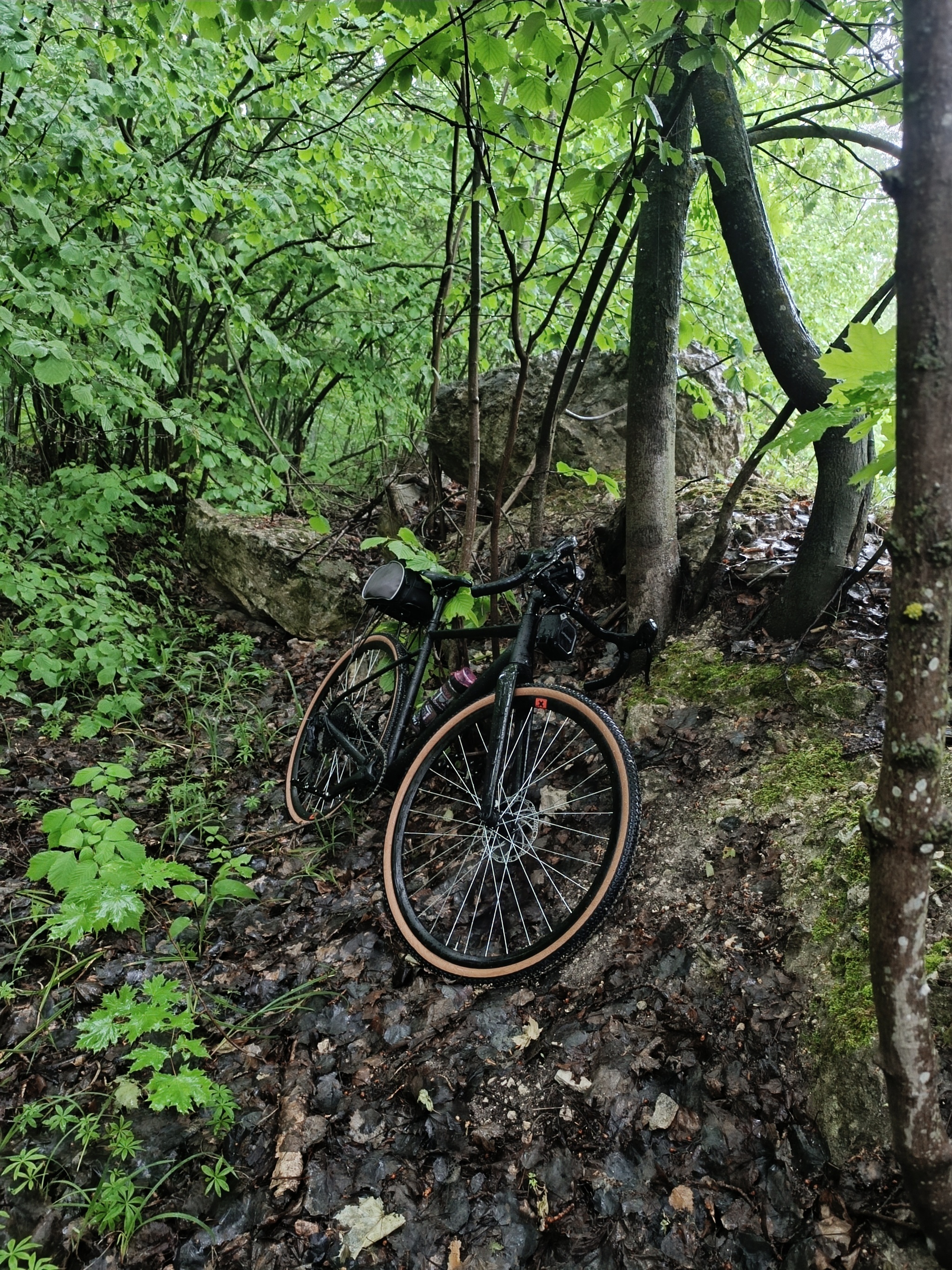 Bike ride to Soksky quarry - My, Bike ride, A bike, Samara, Vertical video, Video, Longpost