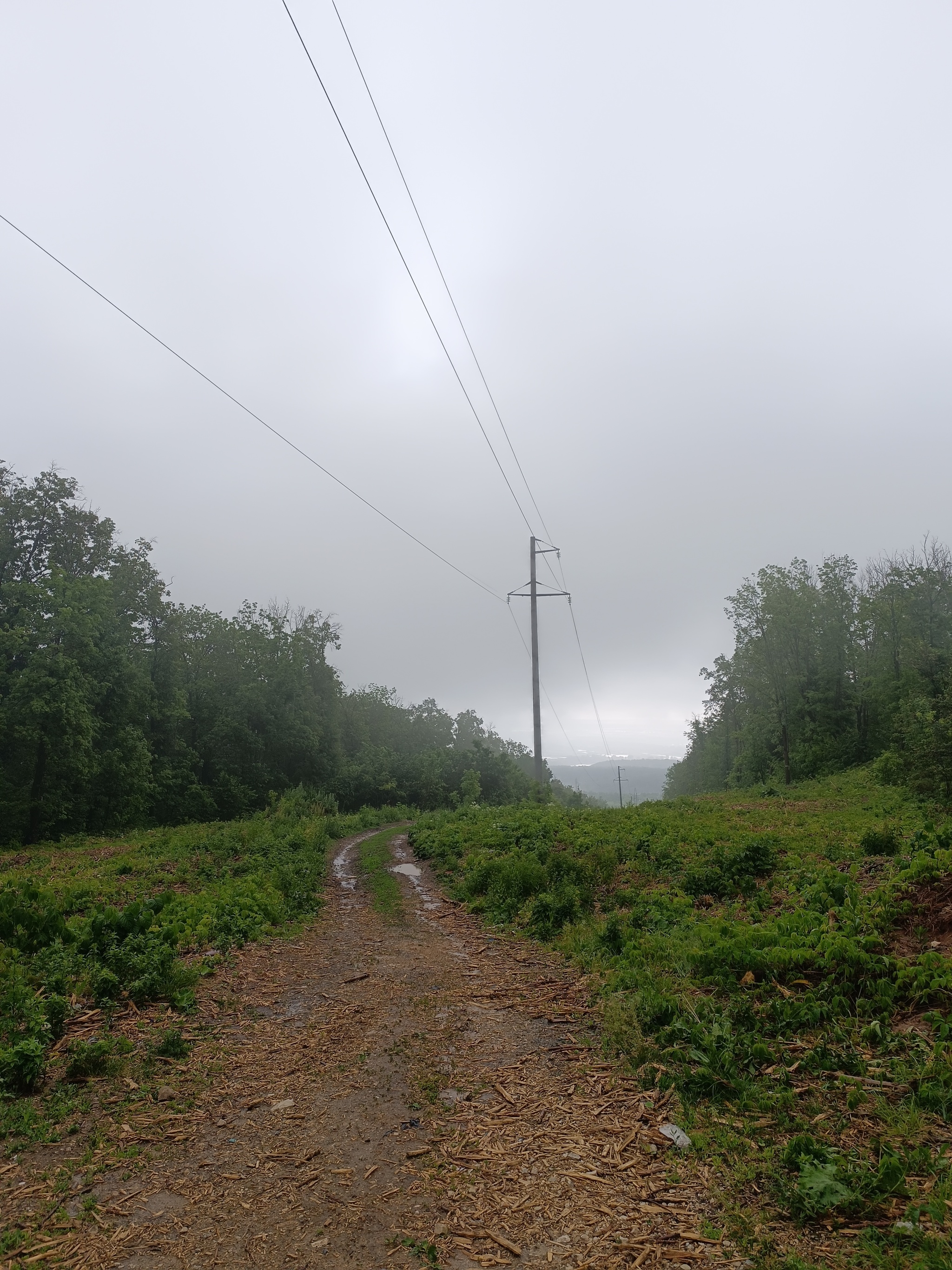 Bike ride to Soksky quarry - My, Bike ride, A bike, Samara, Vertical video, Video, Longpost