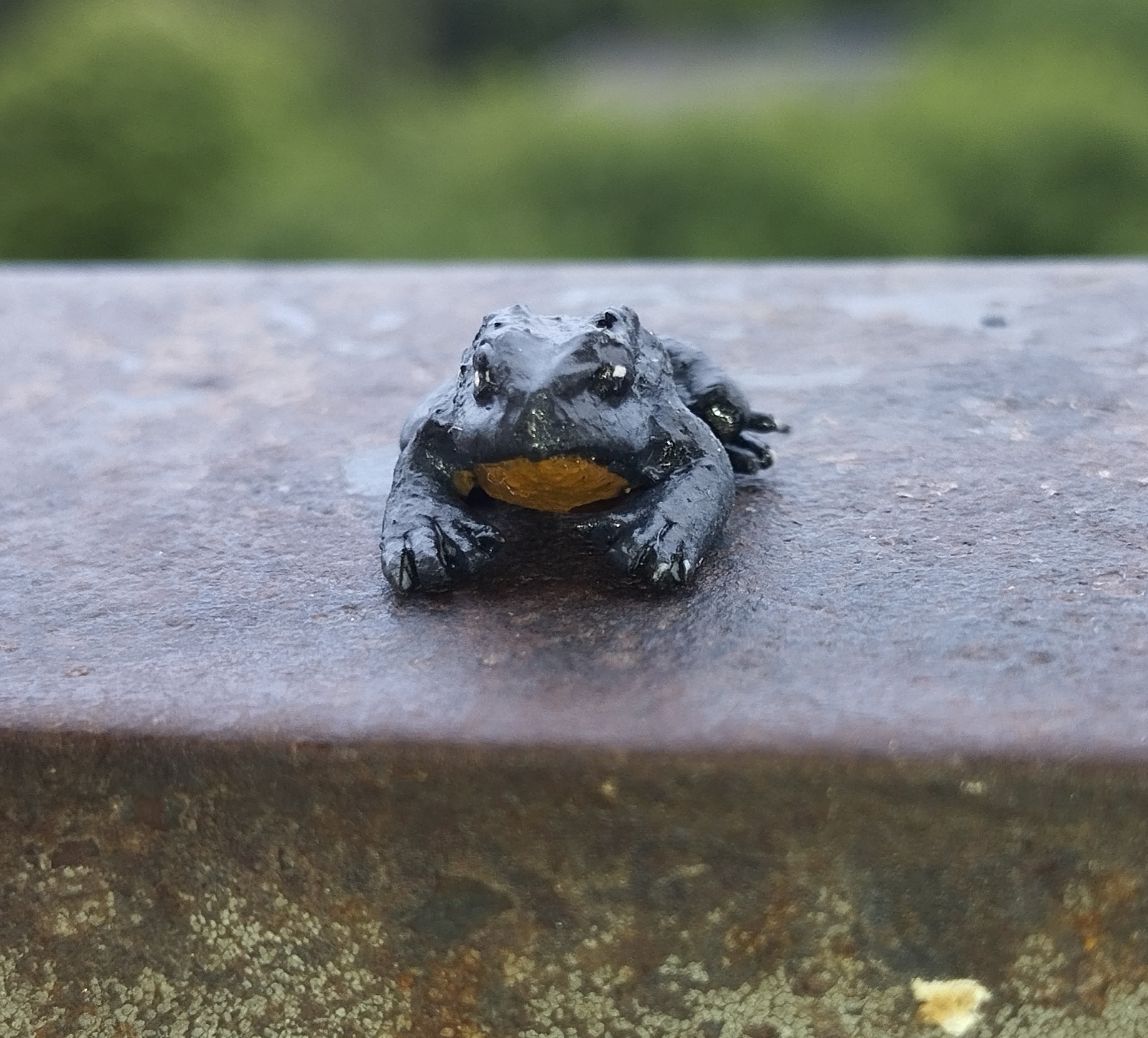 It is Wednesday my dudes! - My, Creation, Figurines, Polymer clay, Лепка, Frogs, Toad, Miniature, It Is Wednesday My Dudes, Author's toy, Wednesday, Longpost