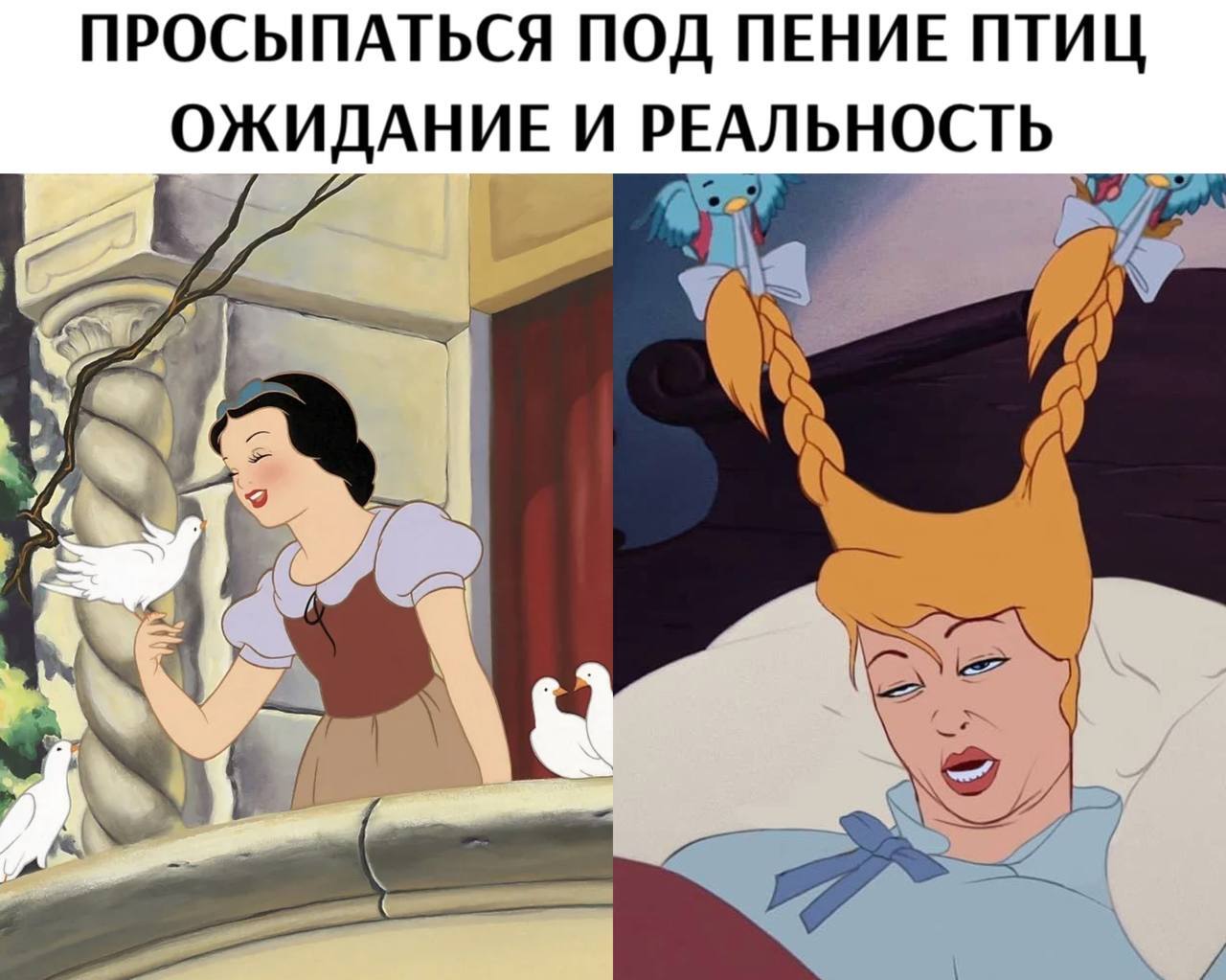 Принцессы бывают разные - Принцессы Диснея, Утро, Птицы, Песня, Юмор, Ожидание и реальность, Картинка с текстом, Telegram (ссылка)