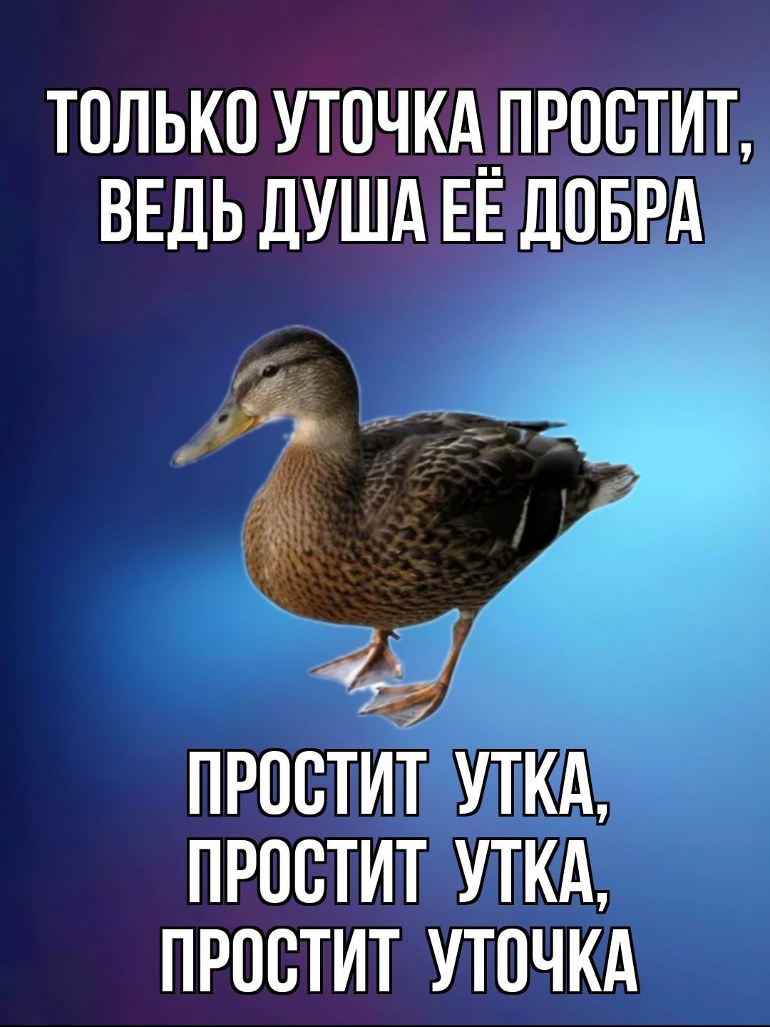 A prostitute - Humor, Picture with text, Duck, Strange humor, Longpost
