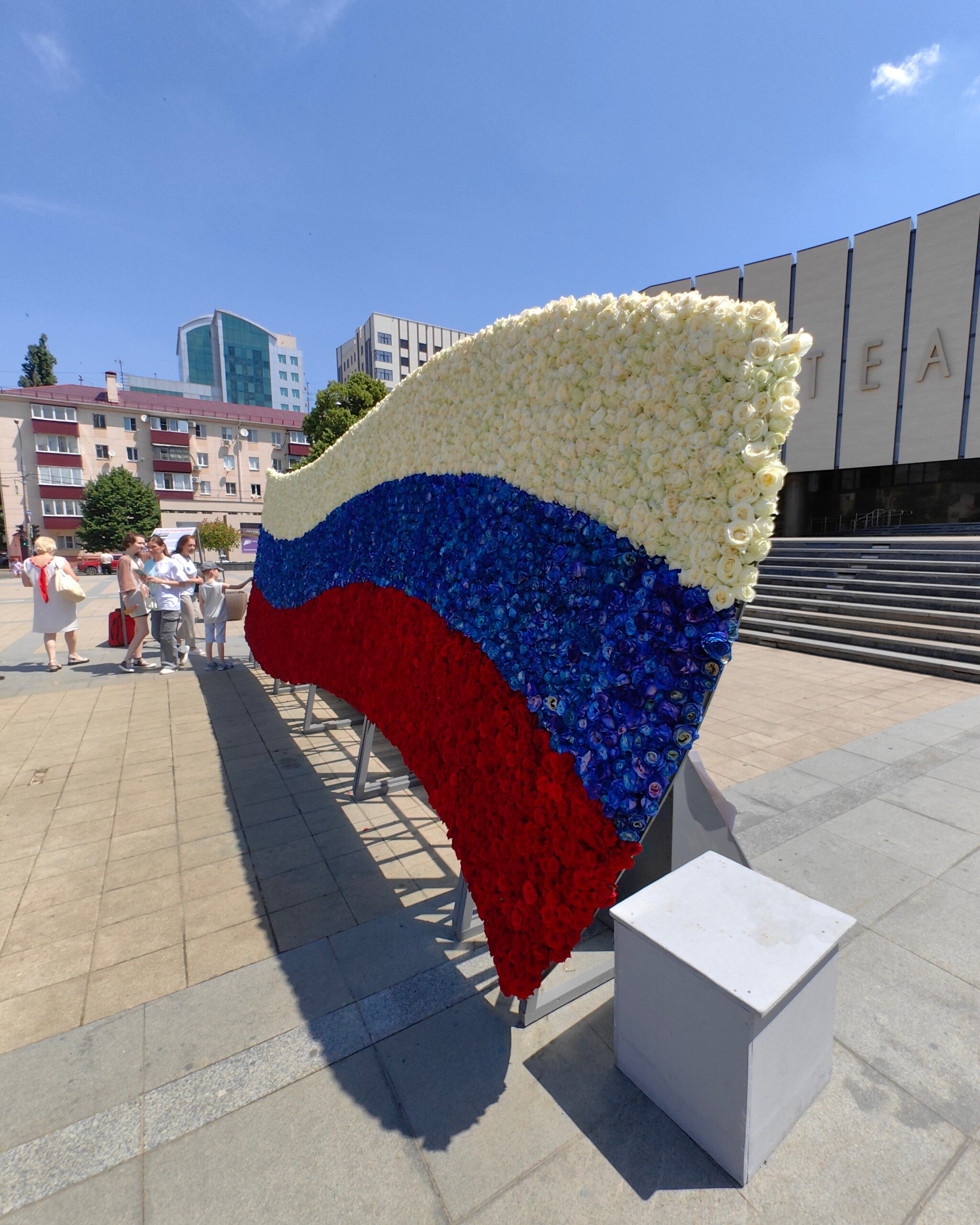 Flag of 20 thousand living roses - My, Krasnodar, Краснодарский Край, the Rose, Russia Day, Flag, Mobile photography, Longpost