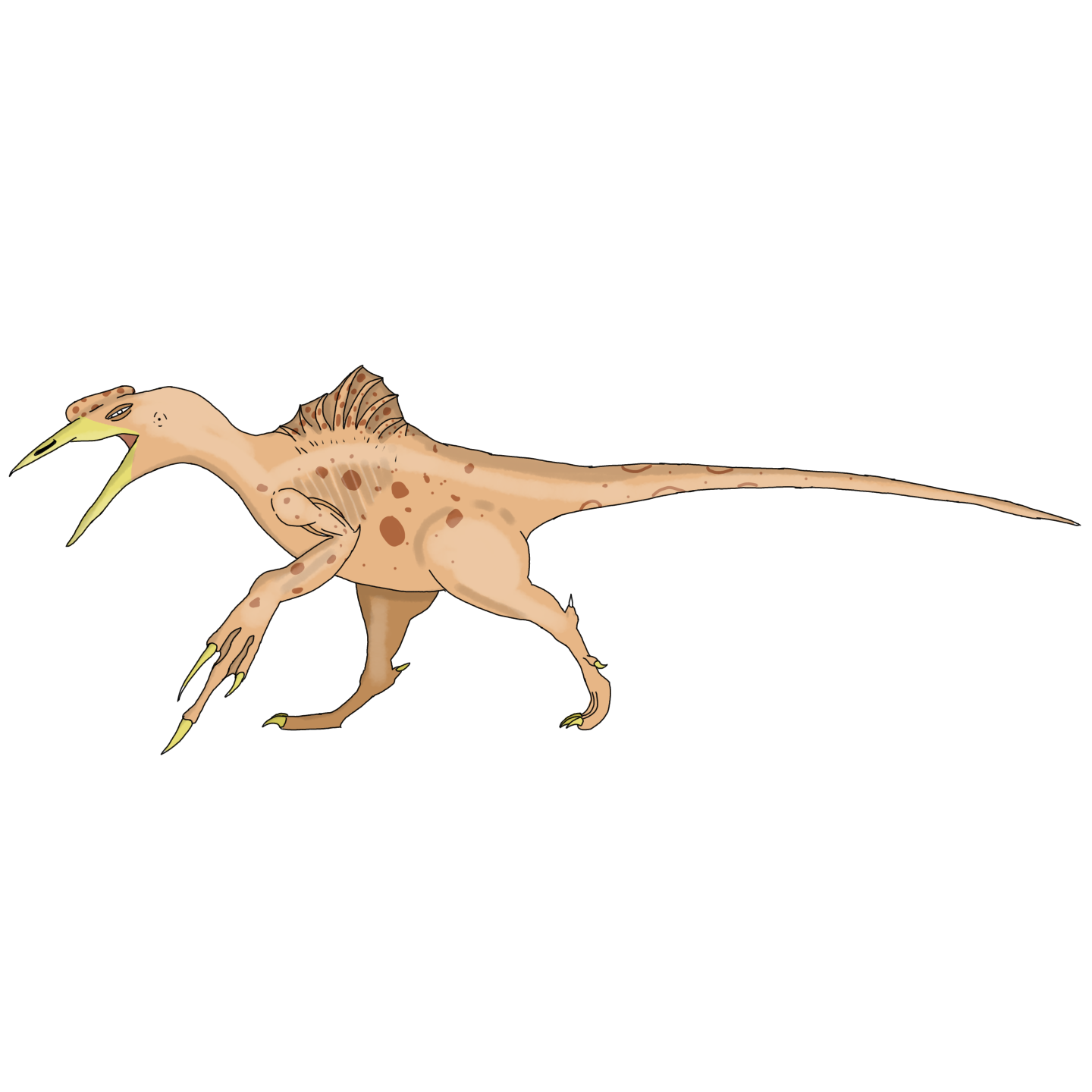 A new look at Kurosaurus. Types of Kurosaurus (Part 2) - Evolution, Nauchpop, The science, Fantasy, Biology, Dinosaurs, Jurassic Park, Speculation, Paleontology, Scientists, Sciencepro, Research, Astrophysics, Longpost