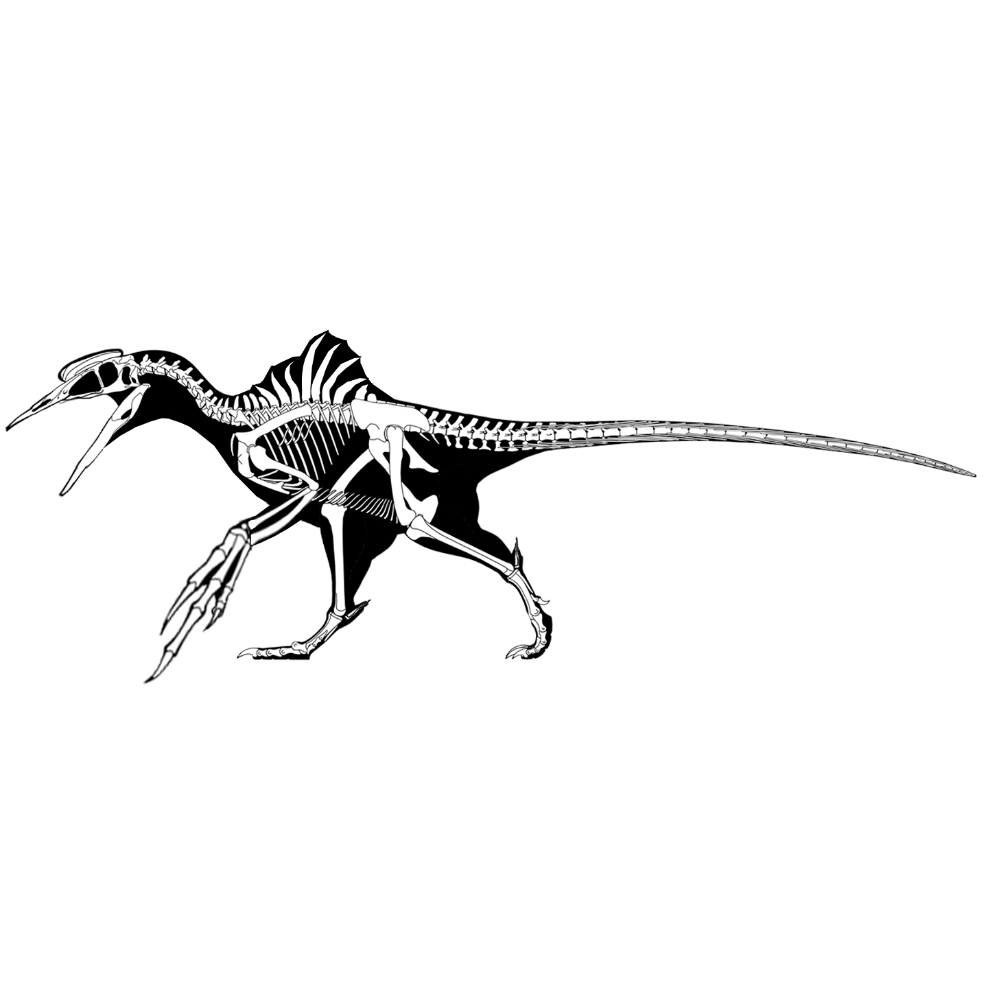 A new look at Kurosaurus. Types of Kurosaurus (Part 2) - Evolution, Nauchpop, The science, Fantasy, Biology, Dinosaurs, Jurassic Park, Speculation, Paleontology, Scientists, Sciencepro, Research, Astrophysics, Longpost