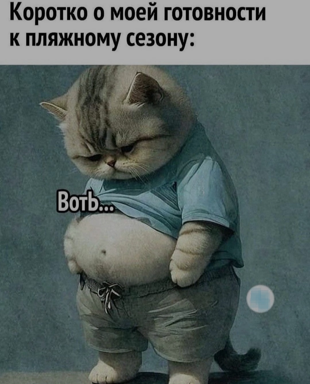 Hurray, vacation in 10 days! - Picture with text, cat, Vacation