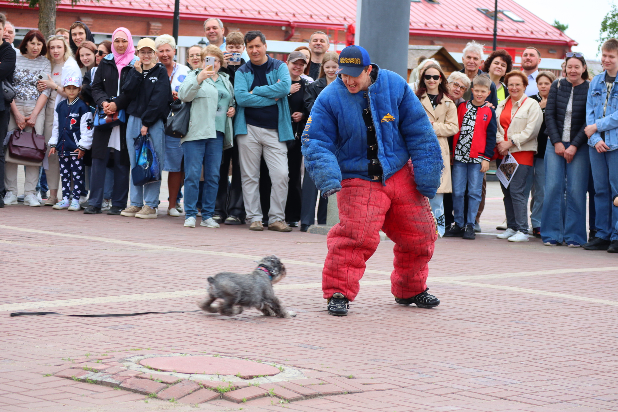 Dog training in Omsk - OTSSS - Training, Dog, Dog lovers, Puppies, Omsk, Longpost