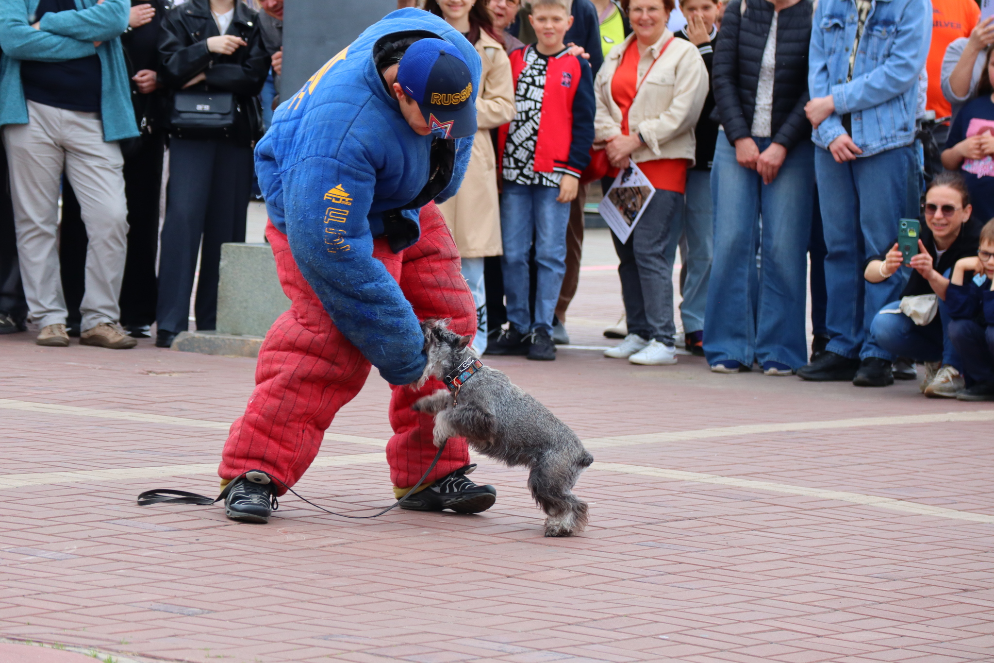 Dog training in Omsk - OTSSS - Training, Dog, Dog lovers, Puppies, Omsk, Longpost