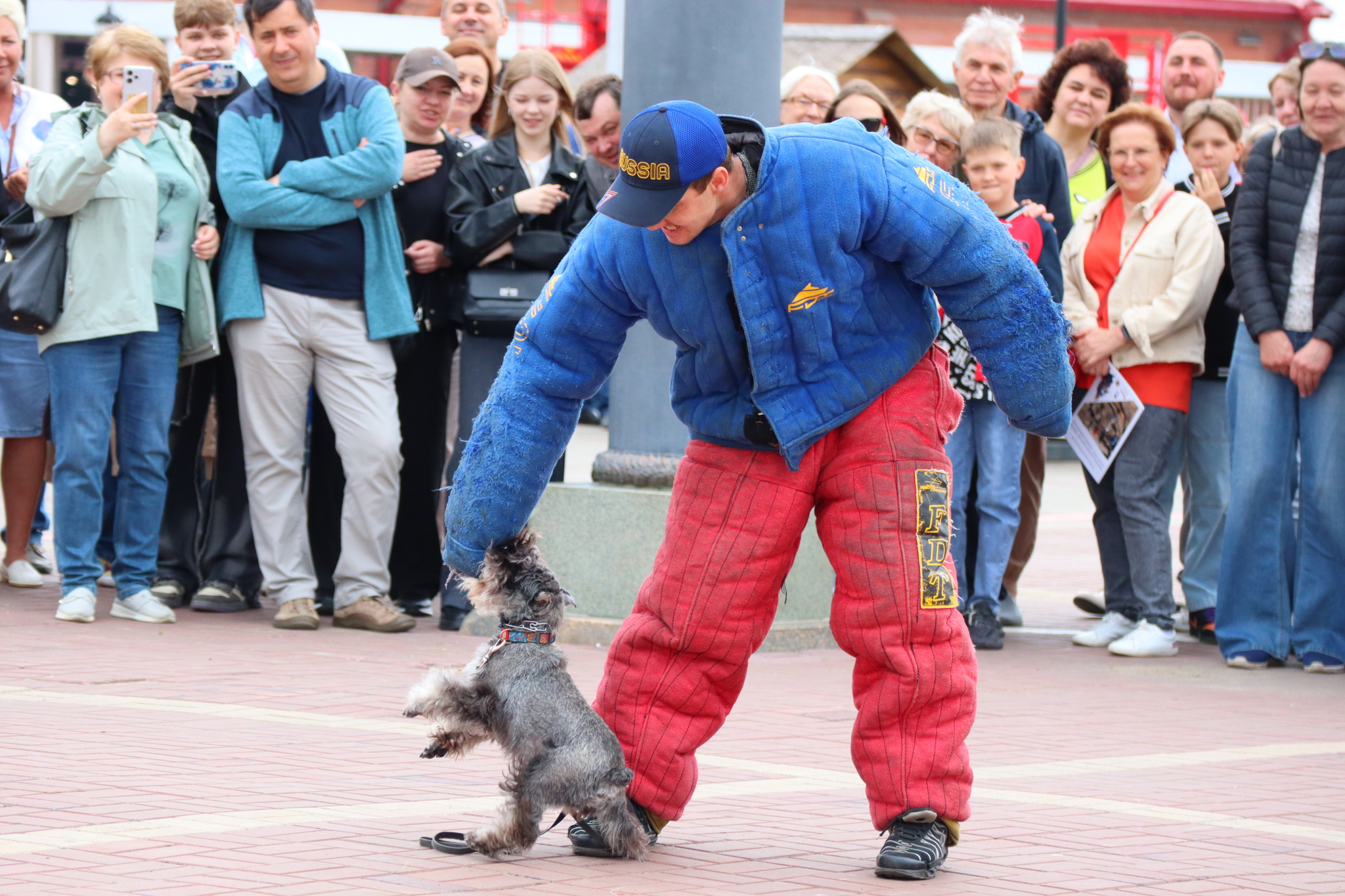 Dog training in Omsk - OTSSS - Training, Dog, Dog lovers, Puppies, Omsk, Longpost