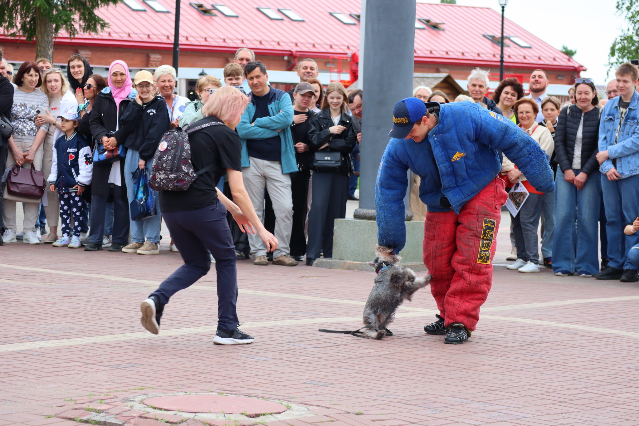 Dog training in Omsk - OTSSS - Training, Dog, Dog lovers, Puppies, Omsk, Longpost