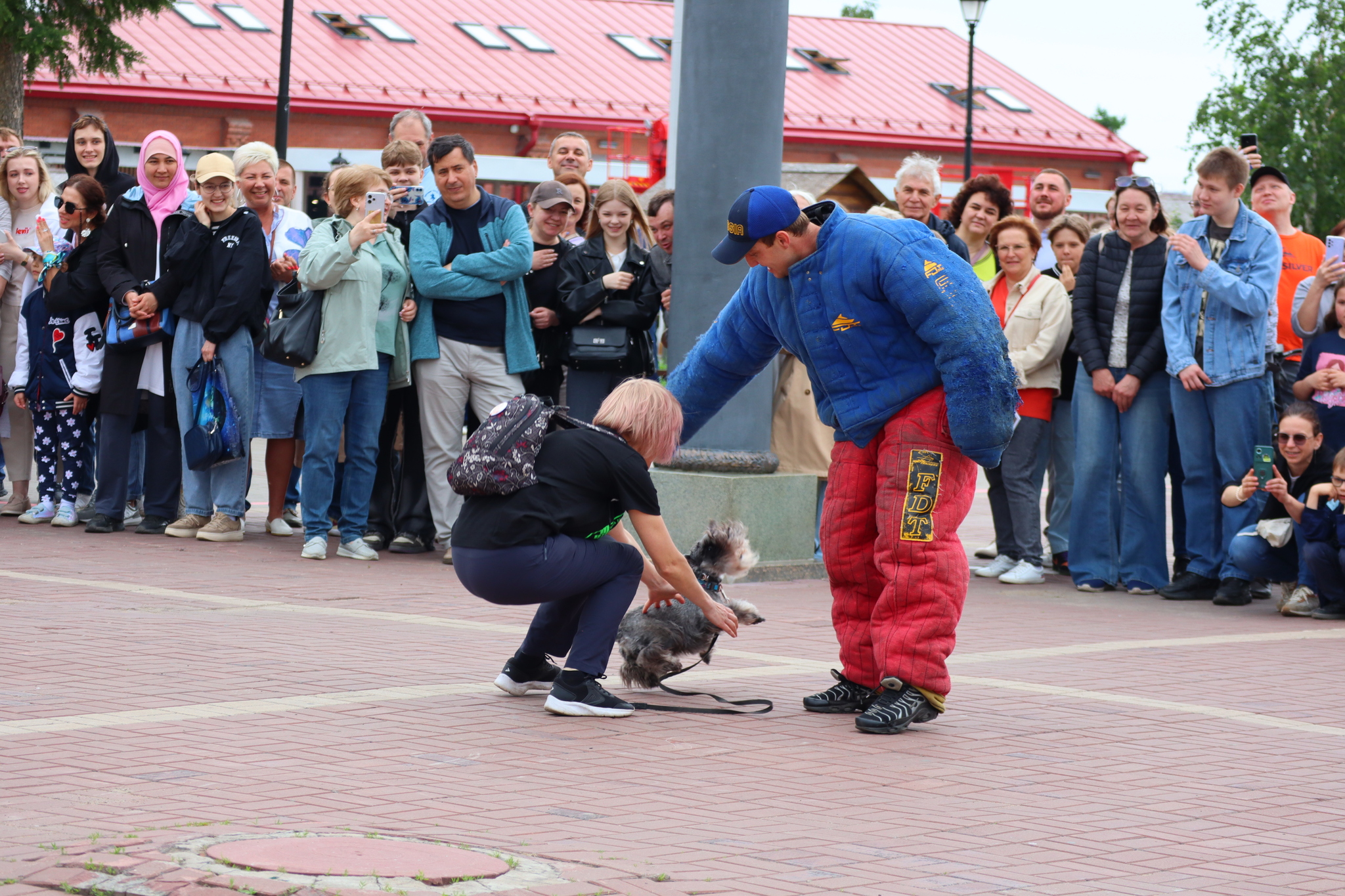 Dog training in Omsk - OTSSS - Training, Dog, Dog lovers, Puppies, Omsk, Longpost