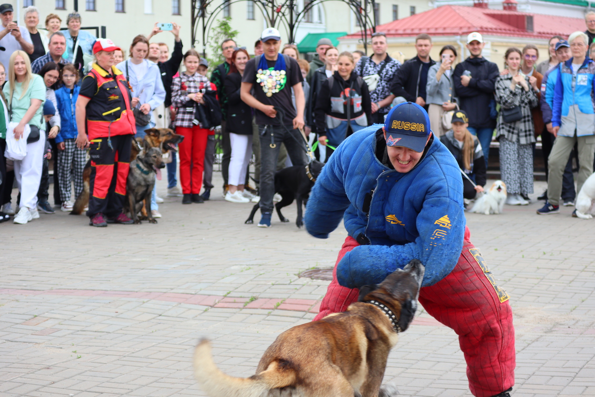 Dog training in Omsk - OTSSS - Training, Dog, Dog lovers, Puppies, Omsk, Longpost