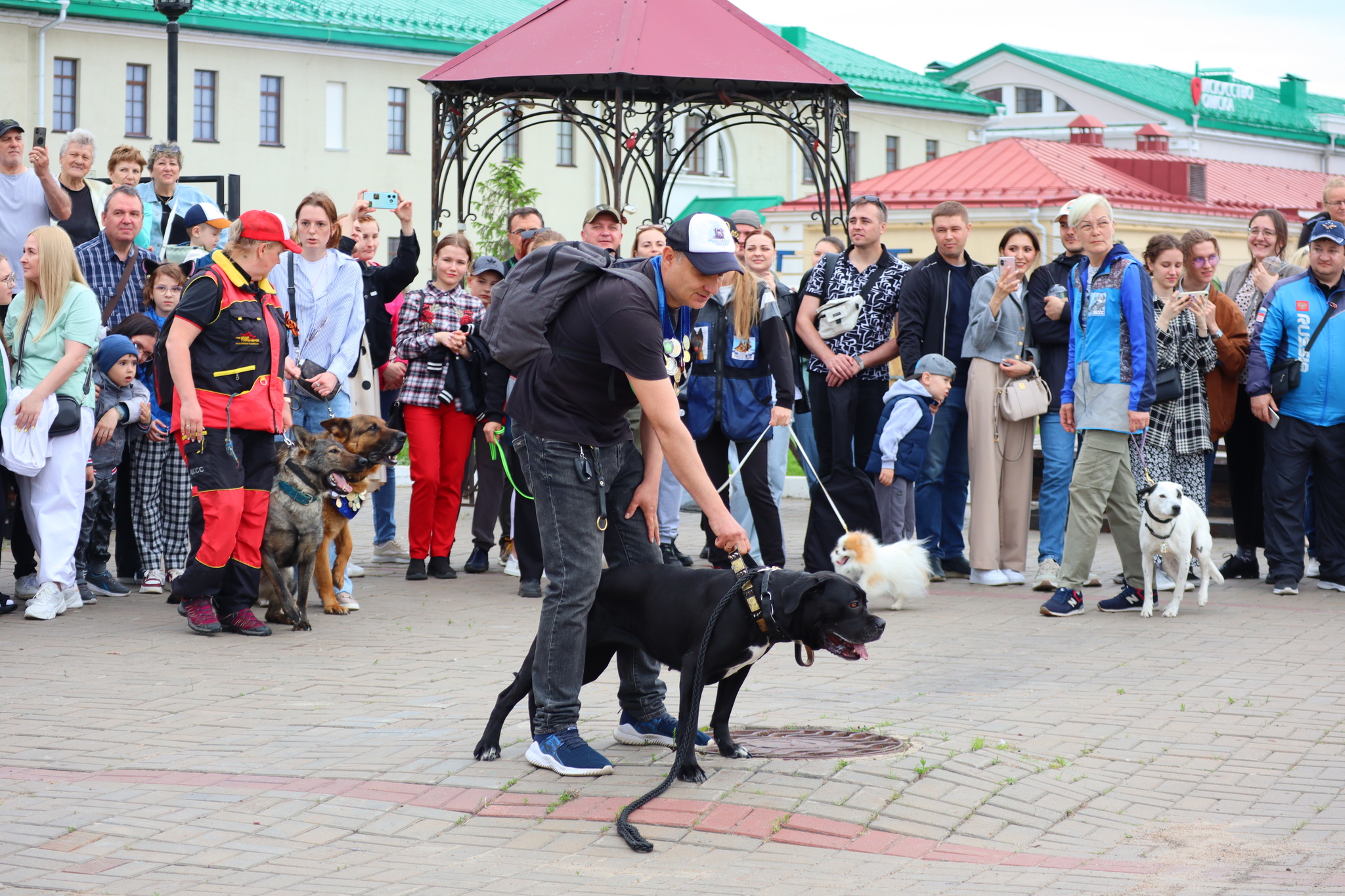 Dog training in Omsk - OTSSS - Training, Dog, Dog lovers, Puppies, Omsk, Longpost