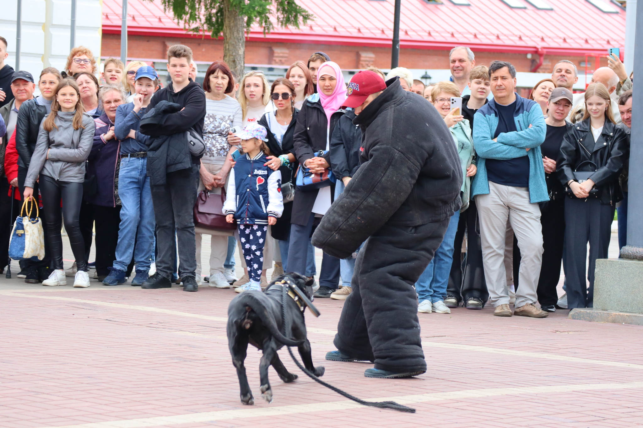 Dog training in Omsk - OTSSS - Training, Dog, Dog lovers, Puppies, Omsk, Longpost