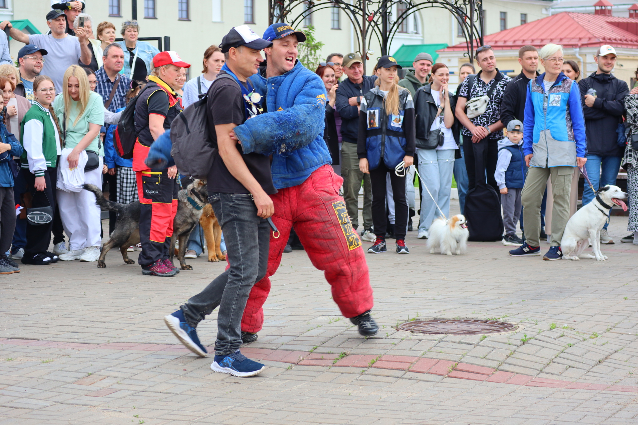 Dog training in Omsk - OTSSS - Training, Dog, Dog lovers, Puppies, Omsk, Longpost