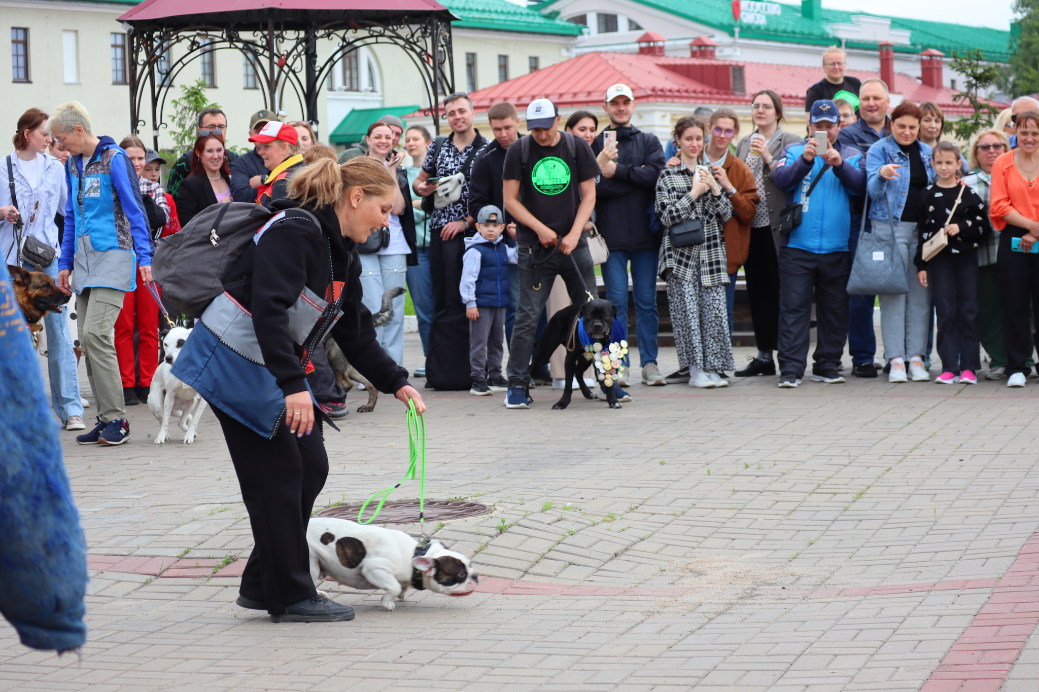 Dog training in Omsk - OTSSS - Training, Dog, Dog lovers, Puppies, Omsk, Longpost