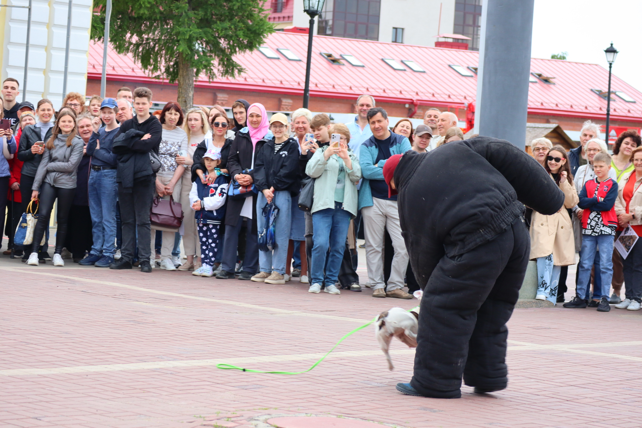 Dog training in Omsk - OTSSS - Training, Dog, Dog lovers, Puppies, Omsk, Longpost