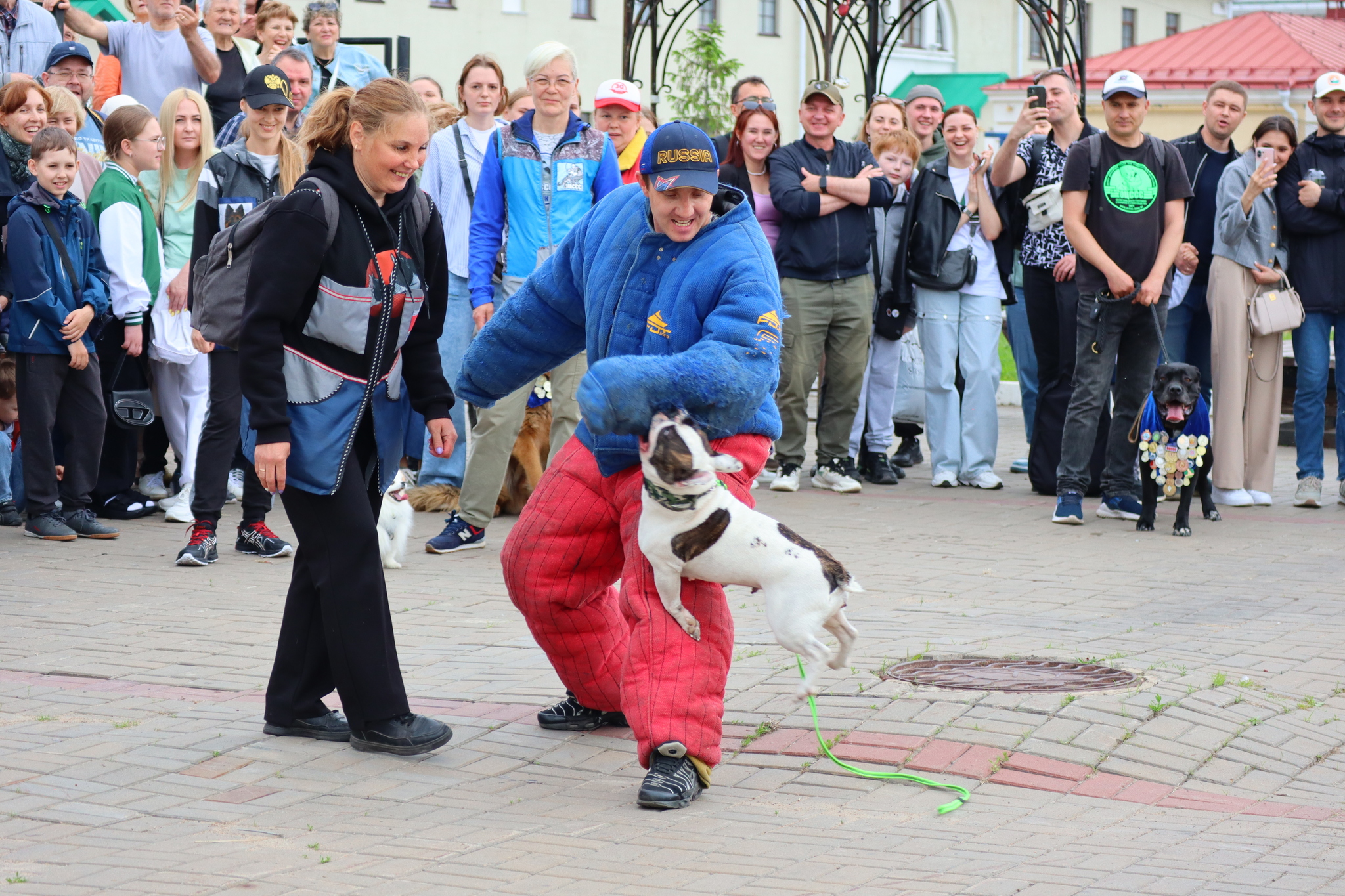 Dog training in Omsk - OTSSS - Training, Dog, Dog lovers, Puppies, Omsk, Longpost