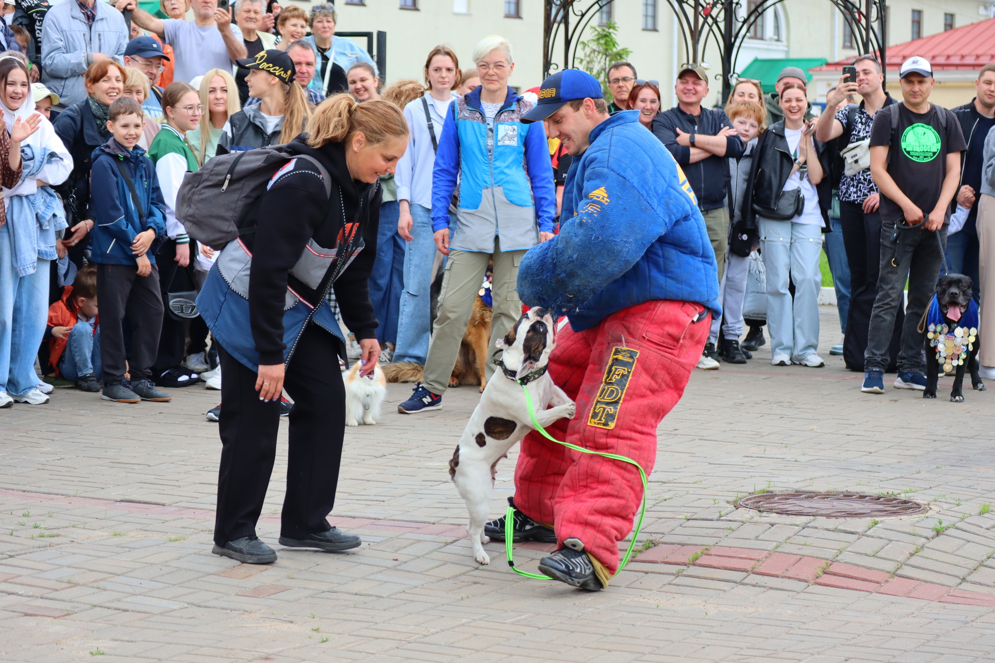 Dog training in Omsk - OTSSS - Training, Dog, Dog lovers, Puppies, Omsk, Longpost