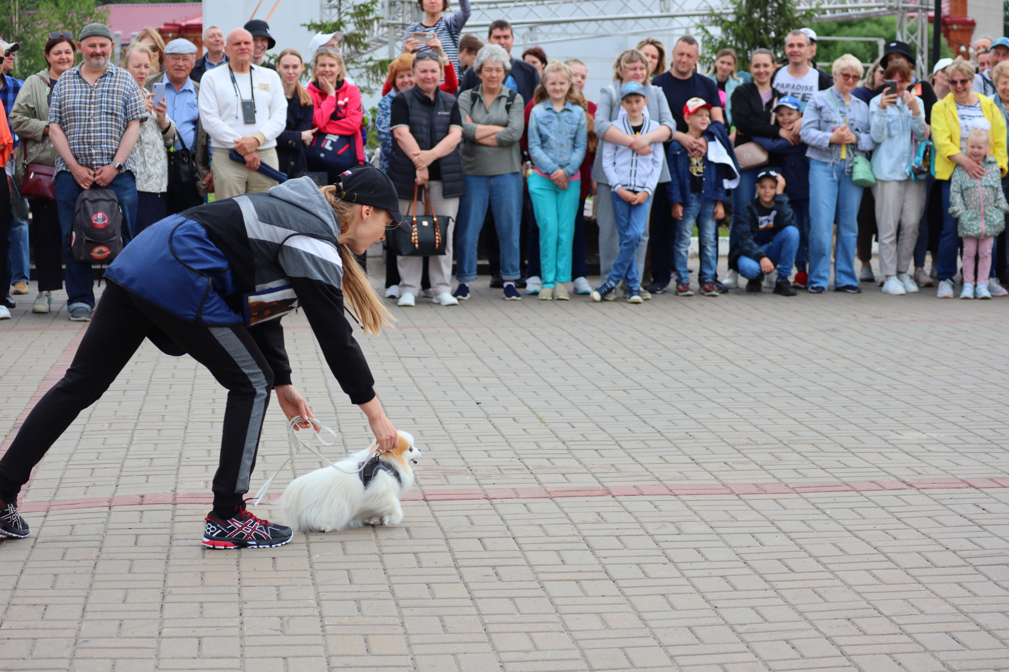 Dog training in Omsk - OTSSS - Training, Dog, Dog lovers, Puppies, Omsk, Longpost