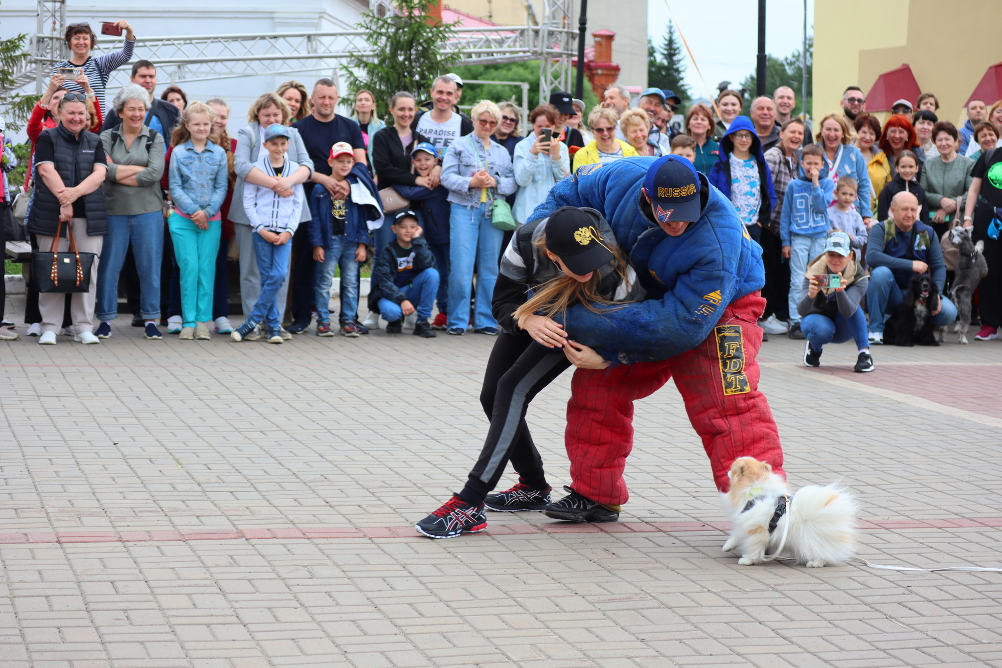 Dog training in Omsk - OTSSS - Training, Dog, Dog lovers, Puppies, Omsk, Longpost