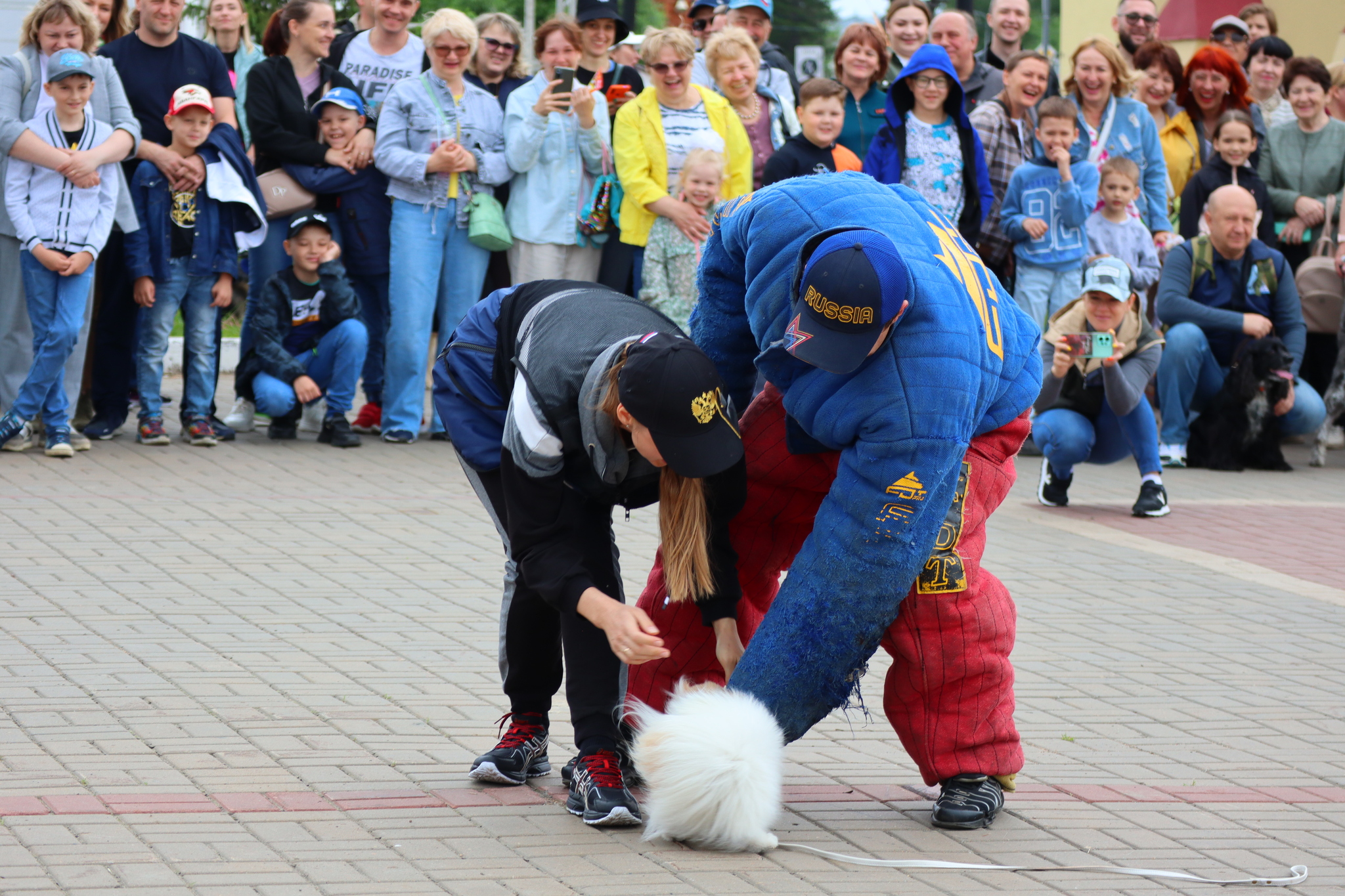 Dog training in Omsk - OTSSS - Training, Dog, Dog lovers, Puppies, Omsk, Longpost